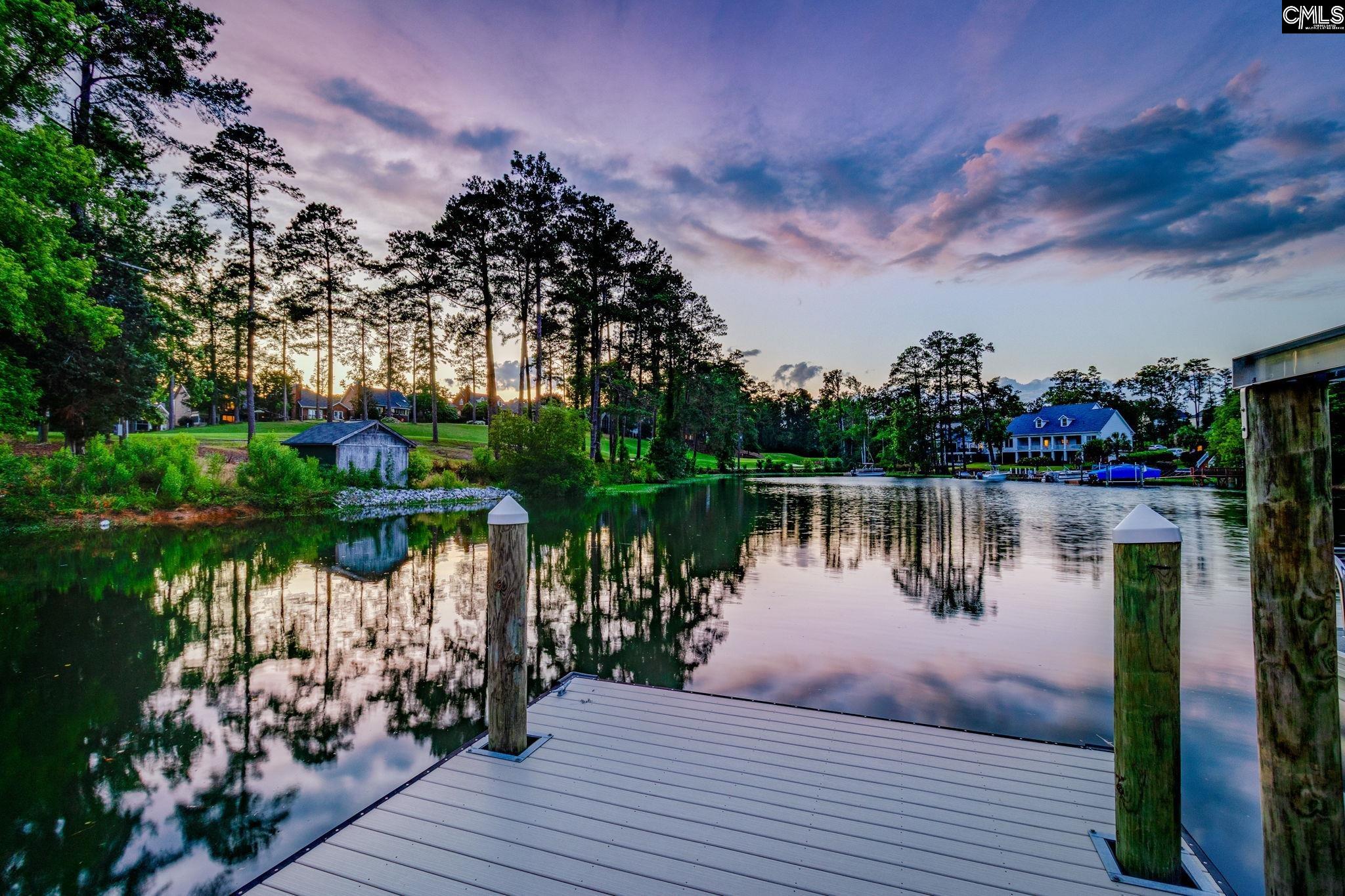 233 Pointe Overlook Drive Chapin, SC 29036