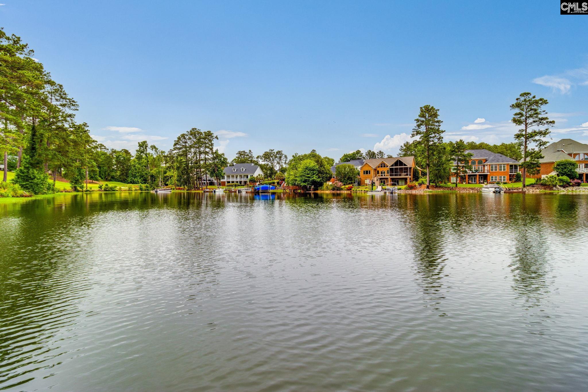 233 Pointe Overlook Drive Chapin, SC 29036