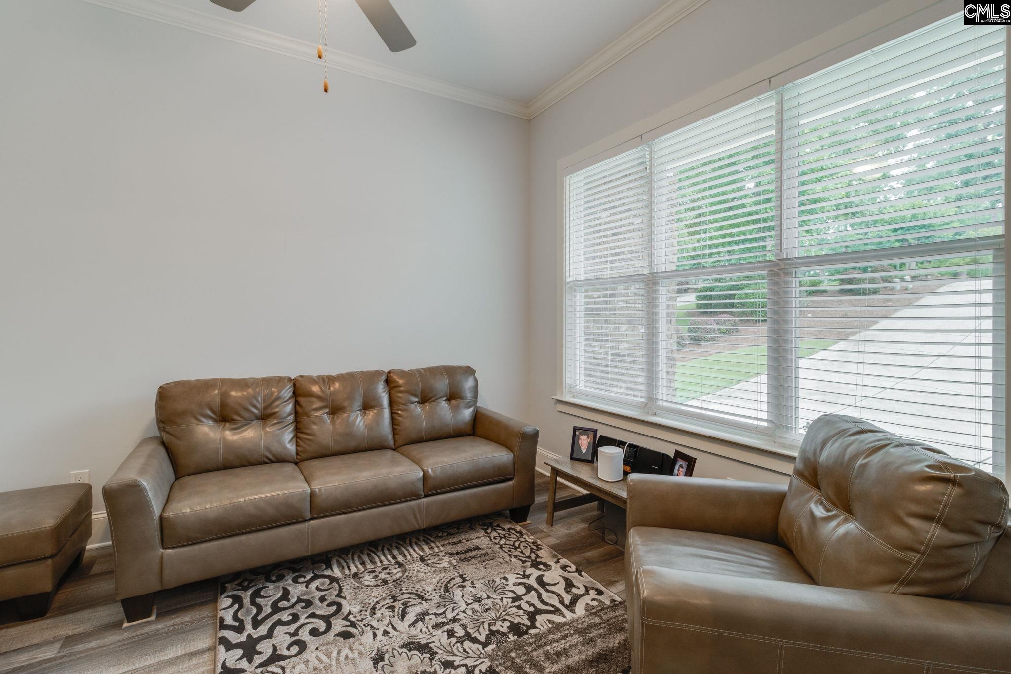 233 Pointe Overlook Drive, Chapin, South Carolina image 8