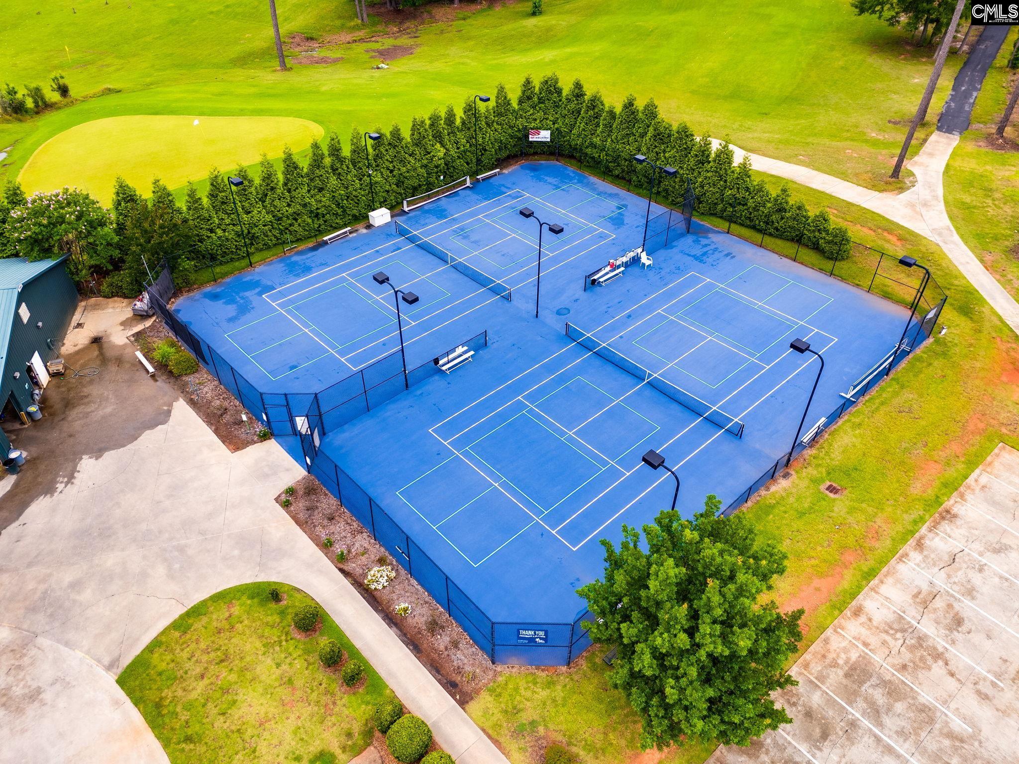233 Pointe Overlook Drive Chapin, SC 29036