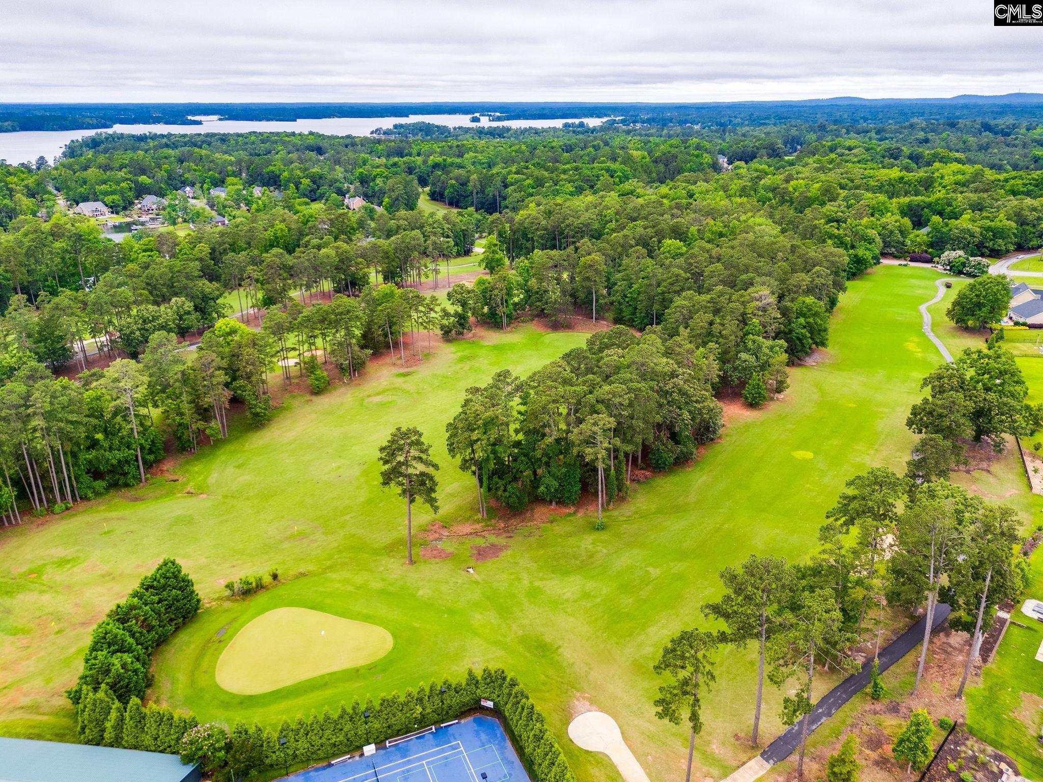 233 Pointe Overlook Drive Chapin, SC 29036