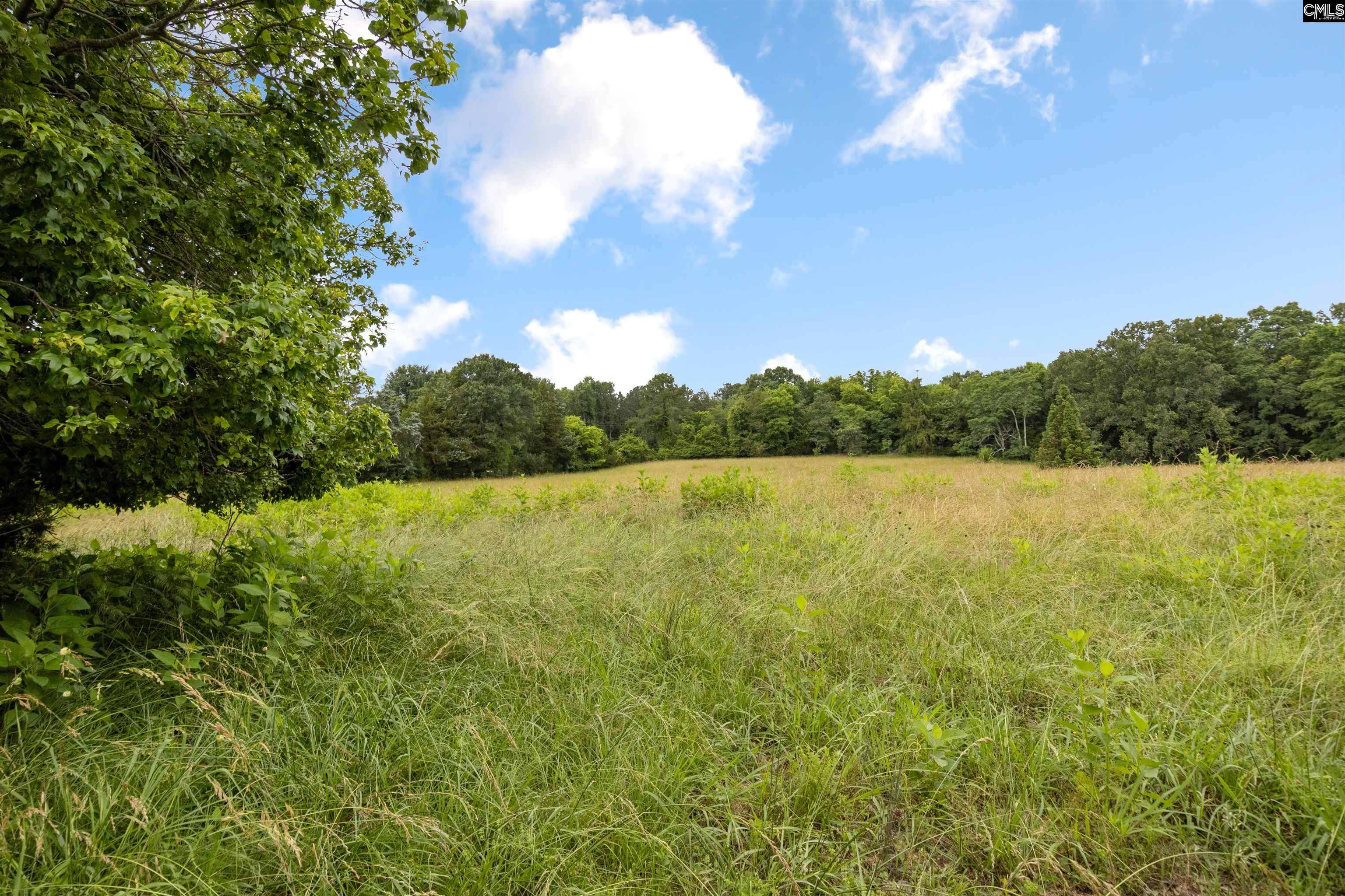 4537 State Hwy 215 South, Jenkinsville, South Carolina image 3