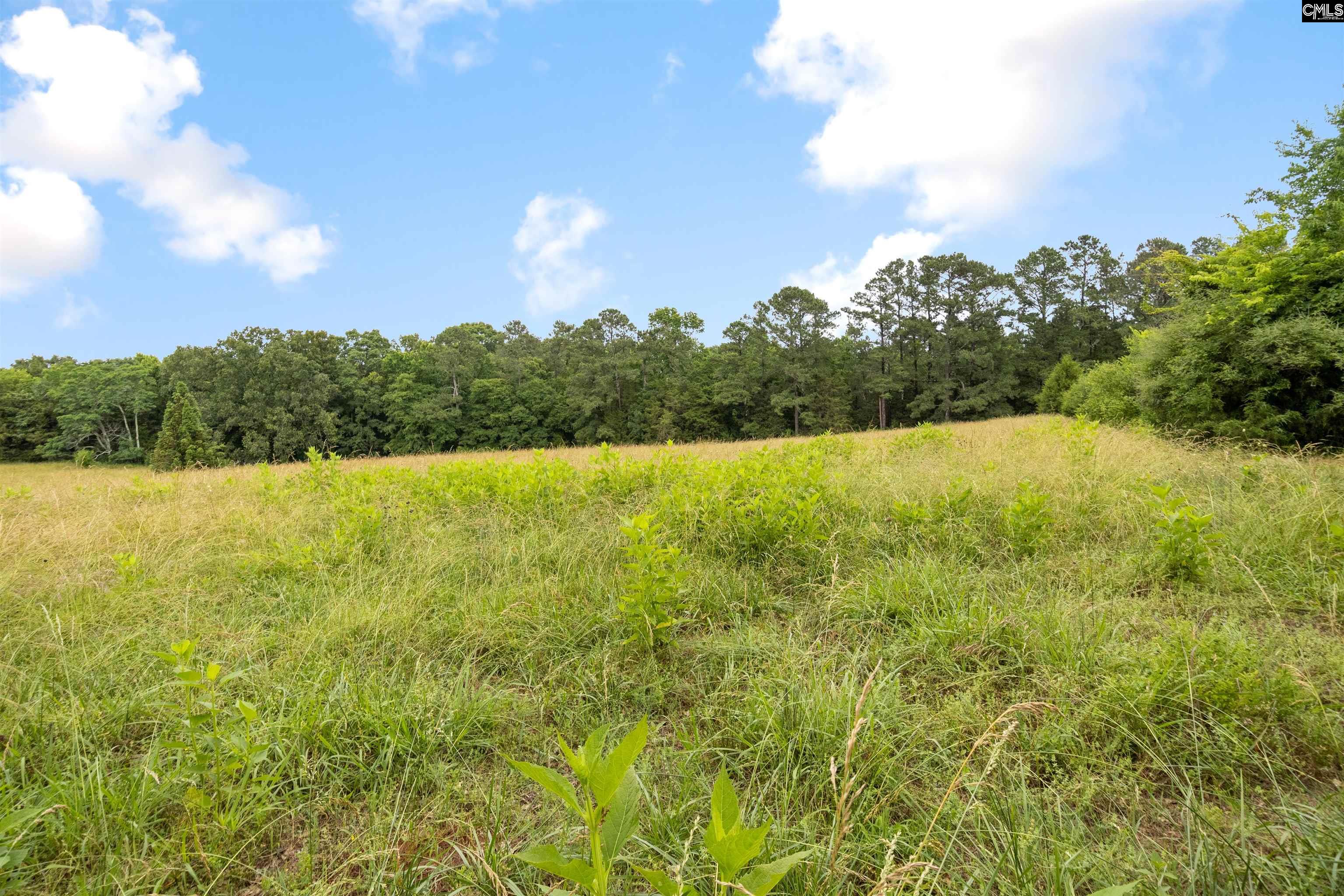 4537 State Hwy 215 South, Jenkinsville, South Carolina image 4