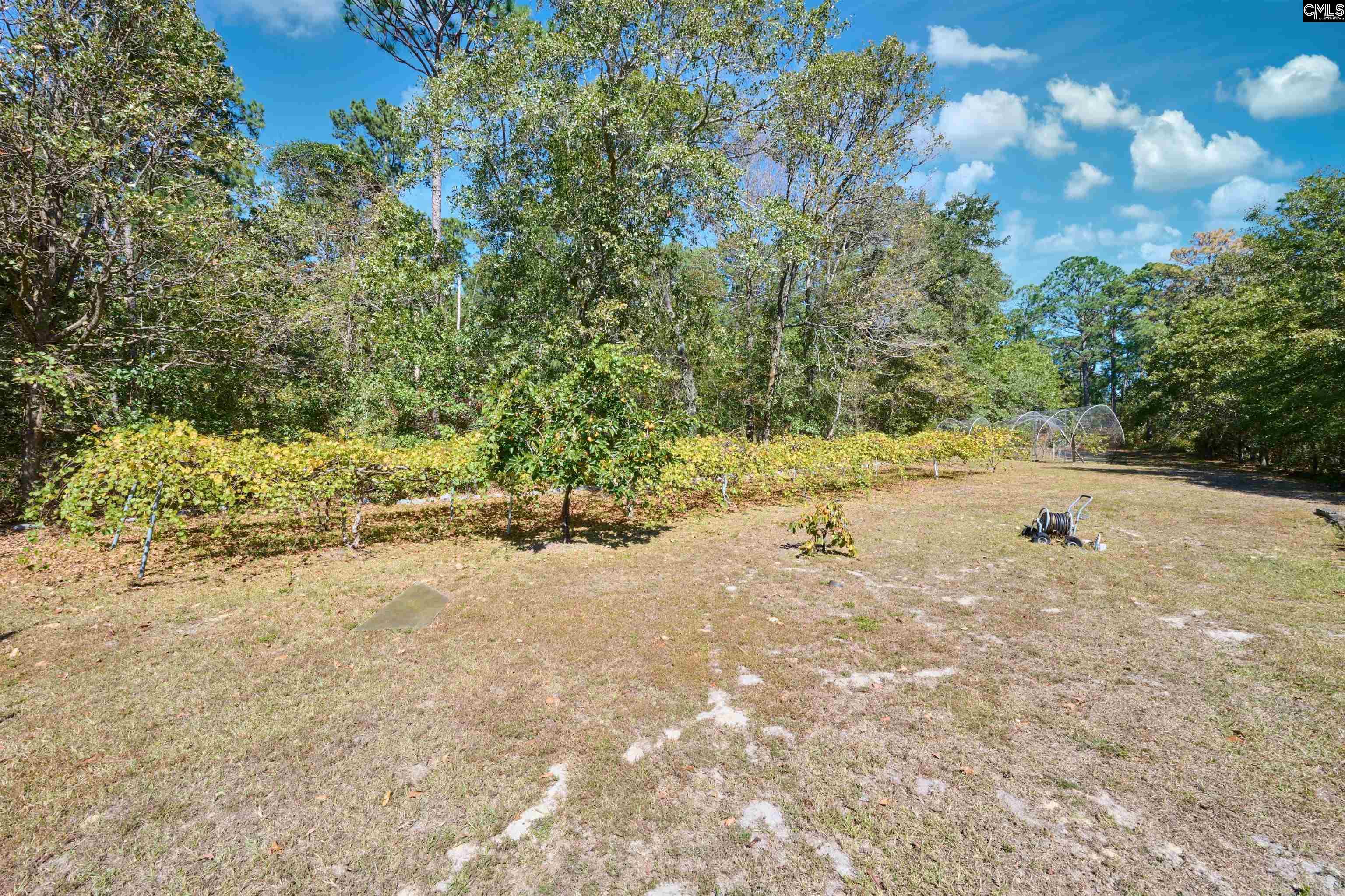 229 Running Deer Drive, Hopkins, South Carolina image 23