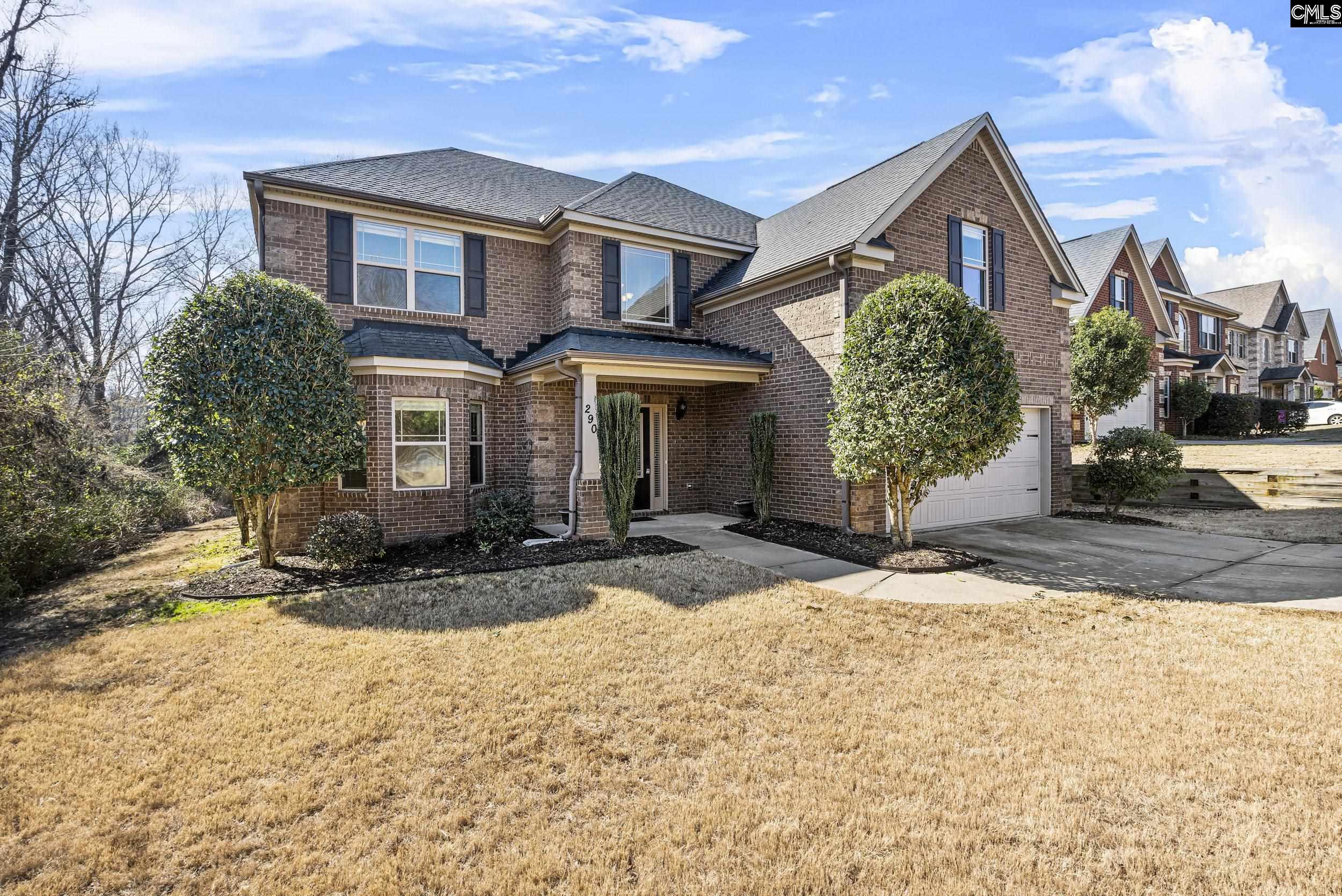 290 Hilton Village Drive, Chapin, South Carolina image 2