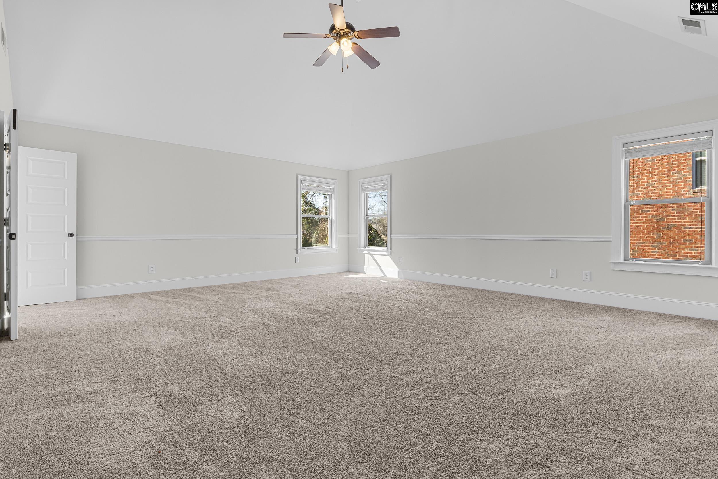 290 Hilton Village Drive, Chapin, South Carolina image 18
