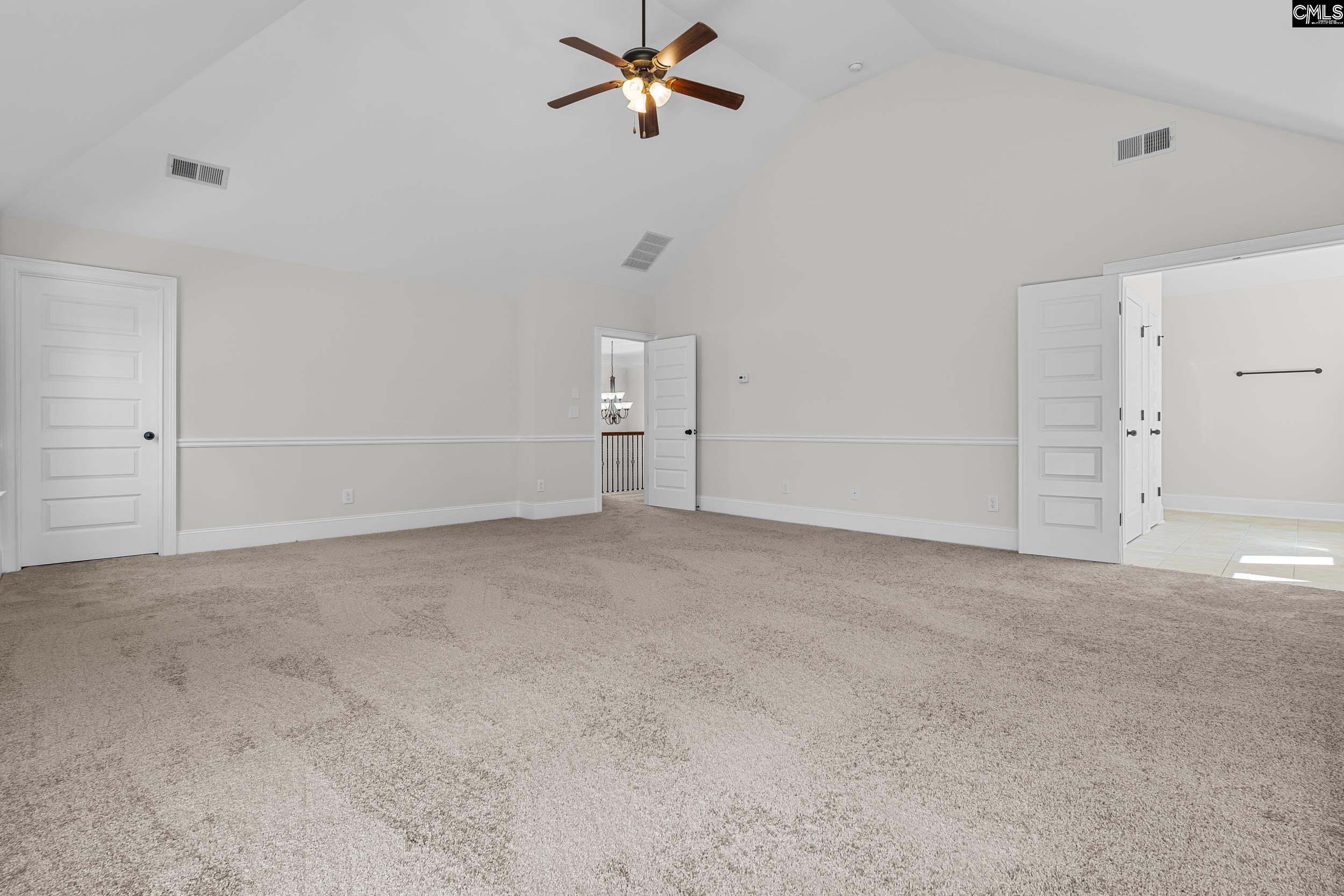 290 Hilton Village Drive, Chapin, South Carolina image 19