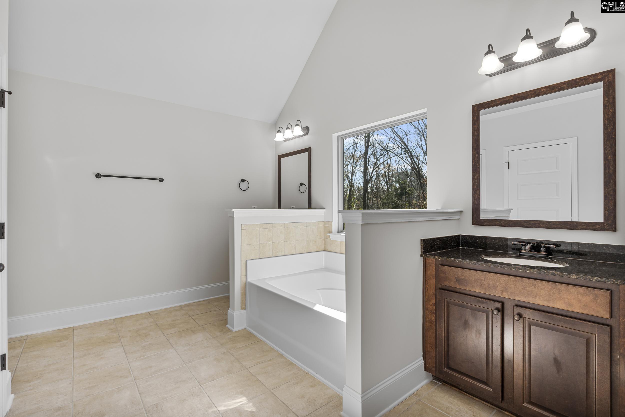 290 Hilton Village Drive, Chapin, South Carolina image 20