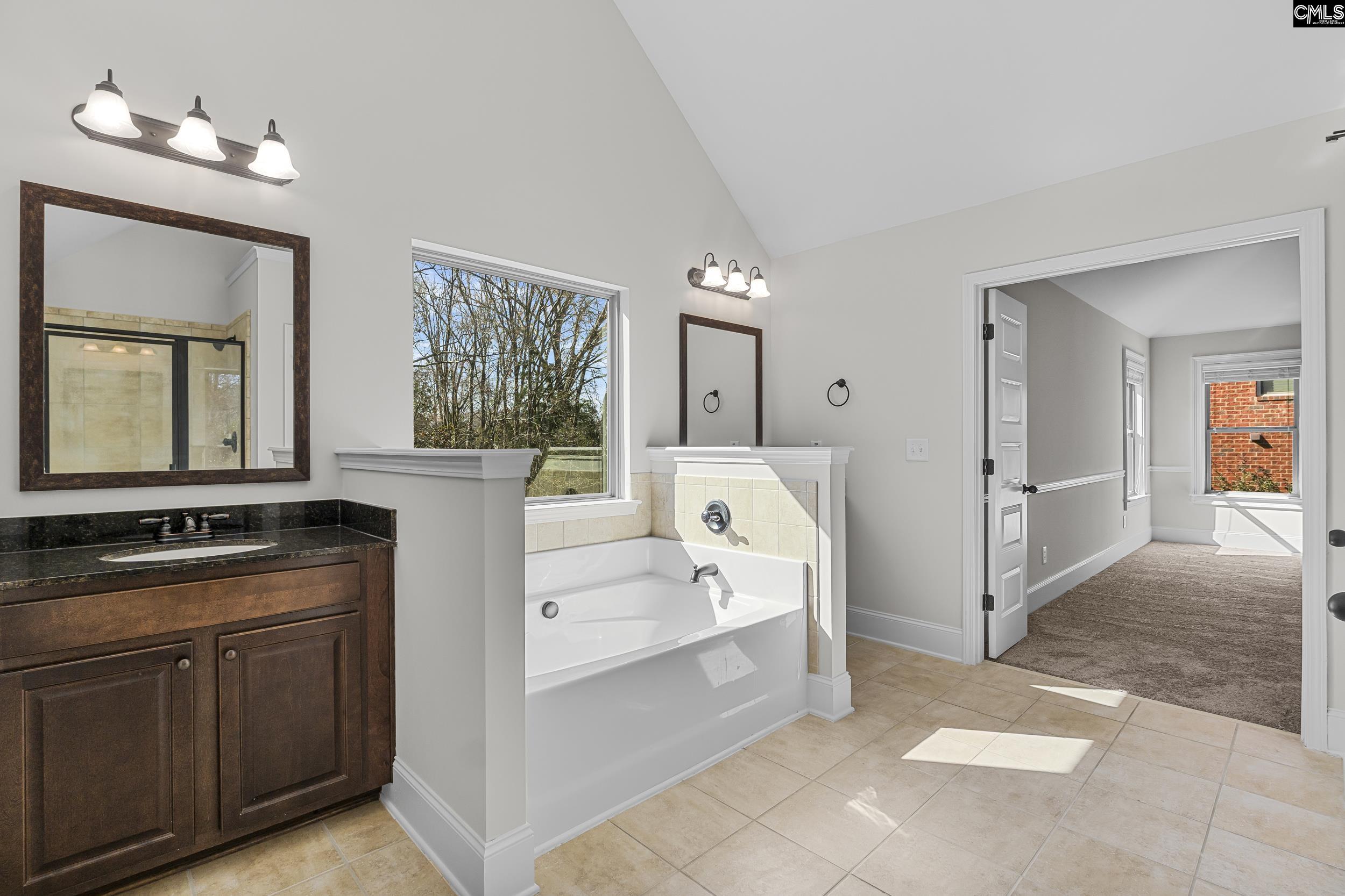 290 Hilton Village Drive, Chapin, South Carolina image 21