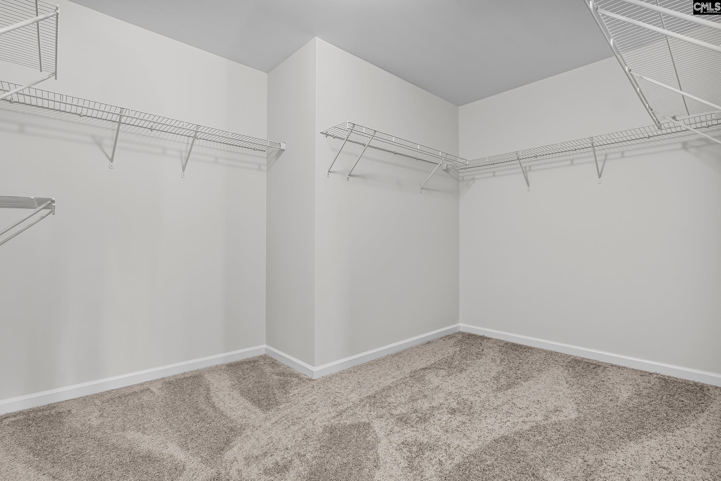 290 Hilton Village Drive, Chapin, South Carolina image 24