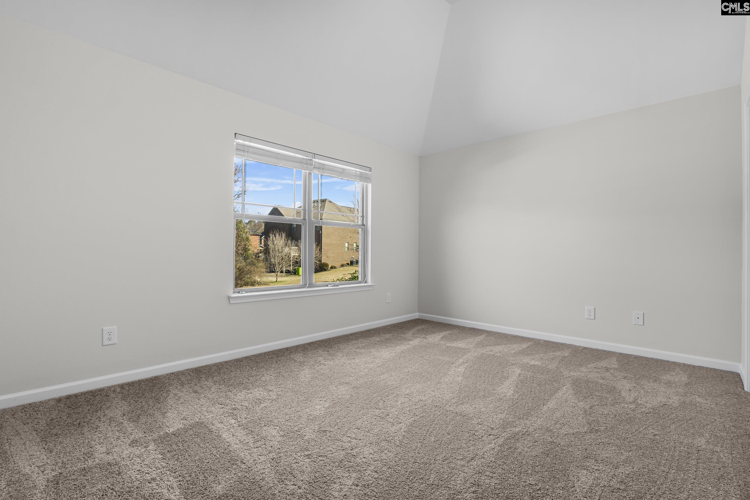 290 Hilton Village Drive, Chapin, South Carolina image 29