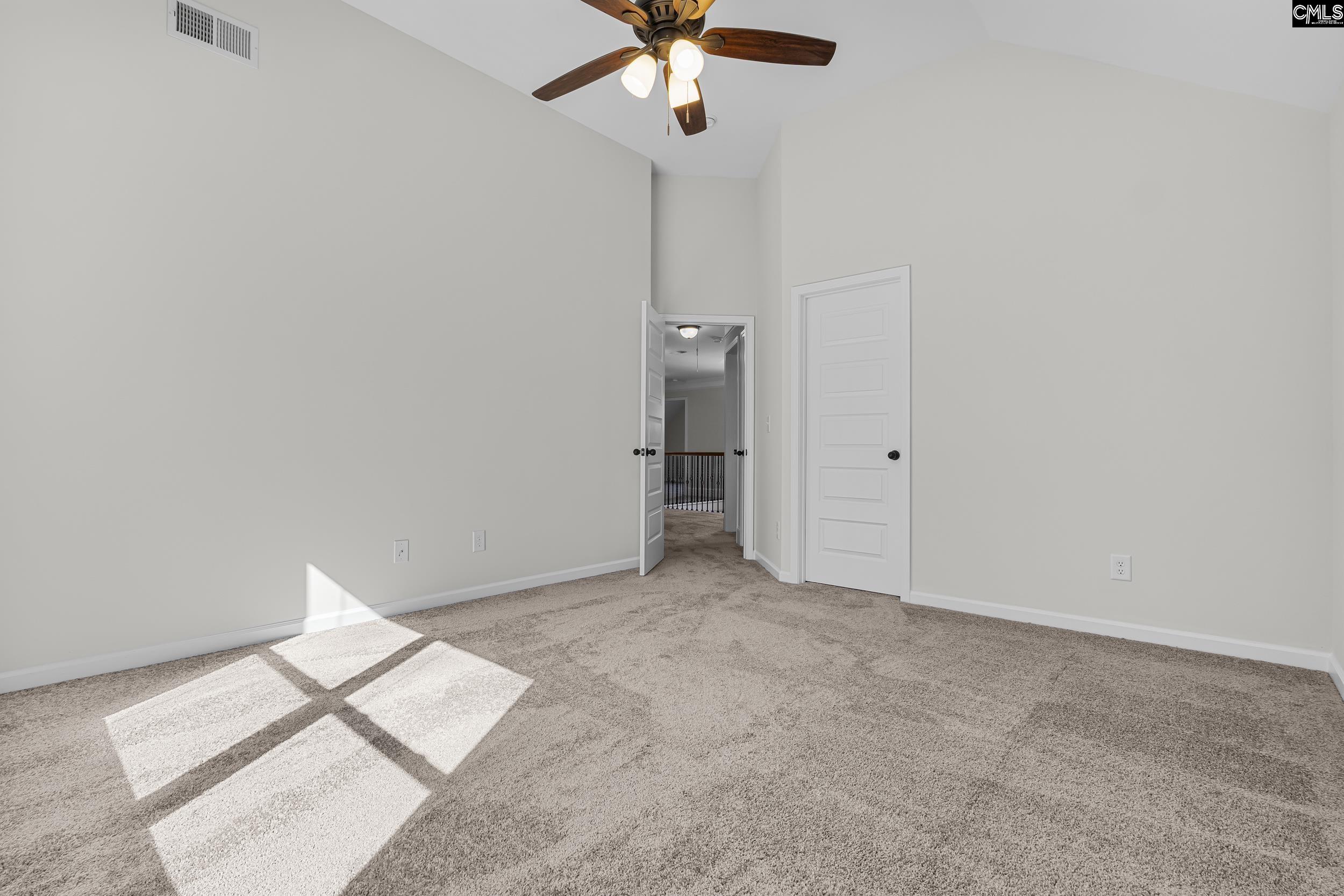 290 Hilton Village Drive, Chapin, South Carolina image 31