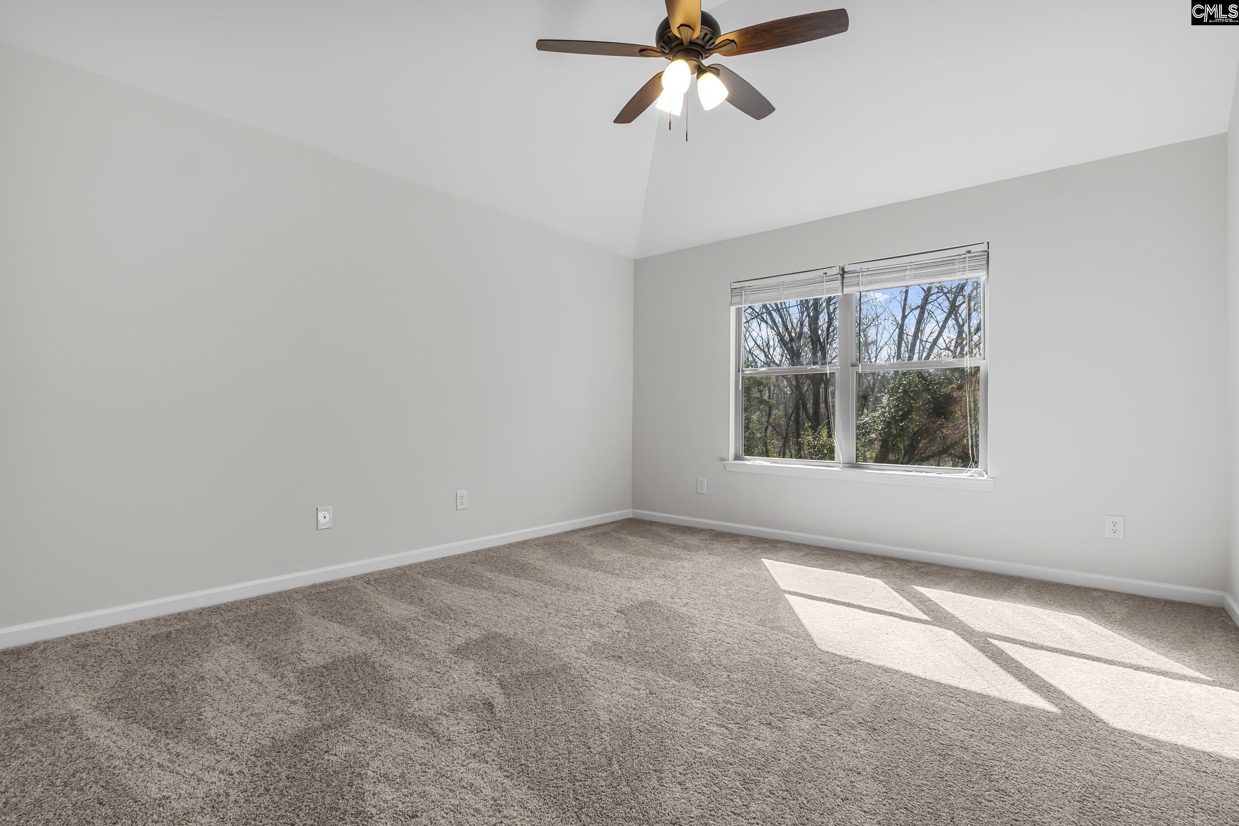 290 Hilton Village Drive, Chapin, South Carolina image 33
