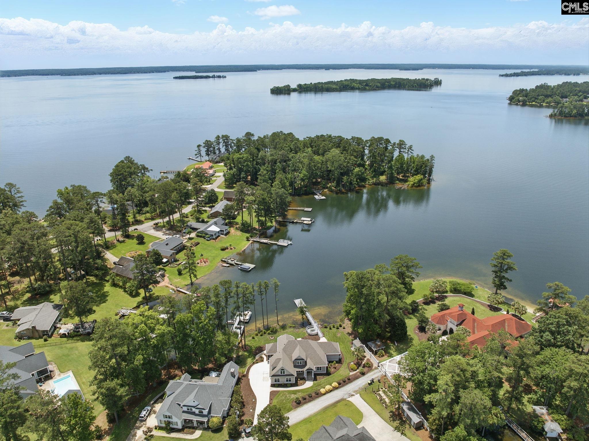 1117 Marble Arch Court, Chapin, South Carolina image 1