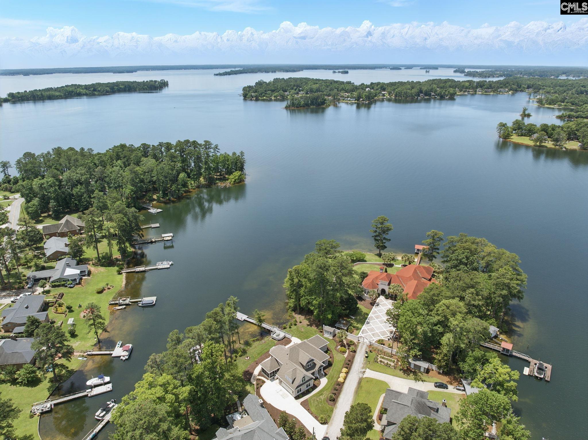 1117 Marble Arch Court, Chapin, South Carolina image 2