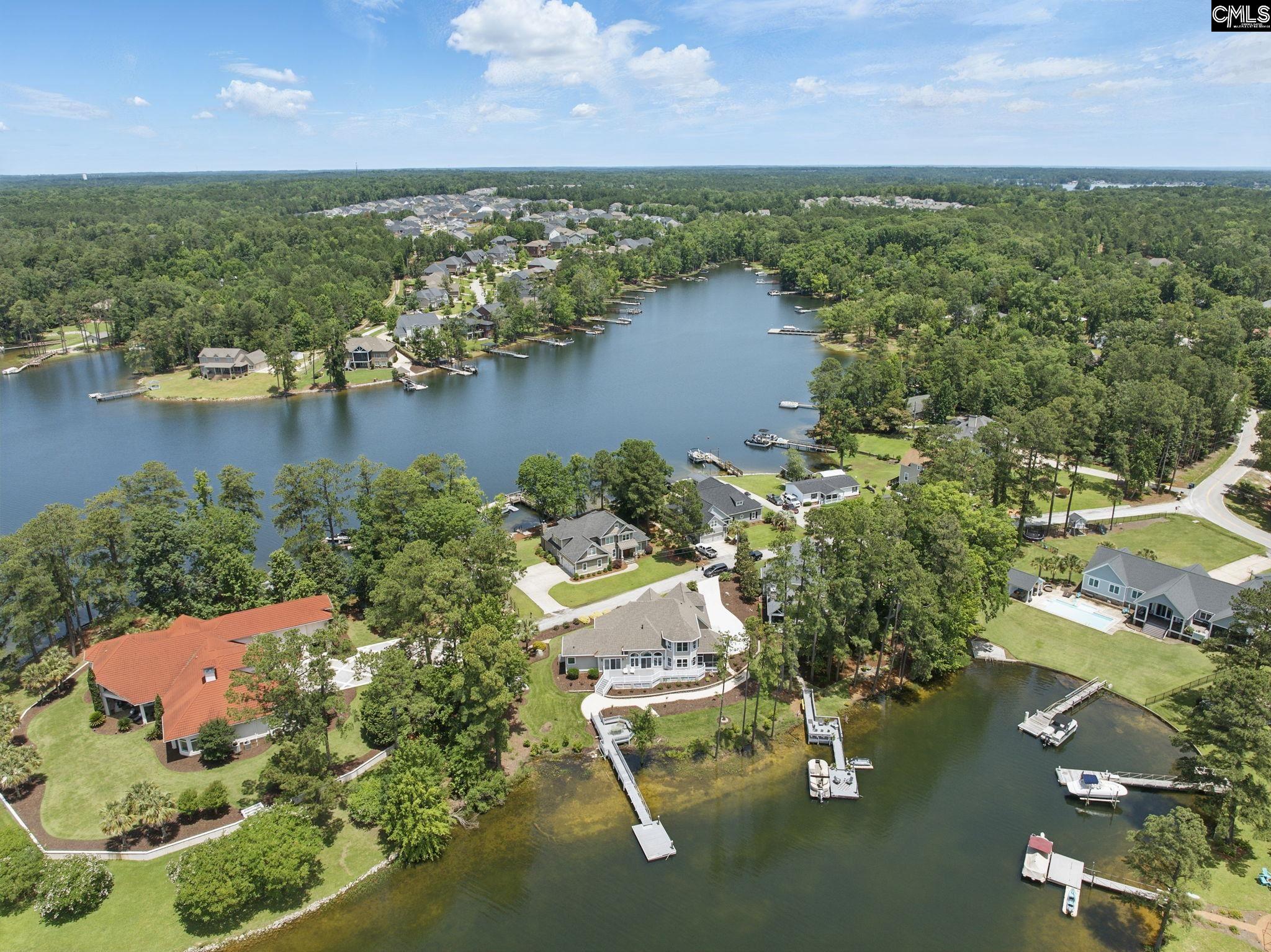 1117 Marble Arch Court, Chapin, South Carolina image 3