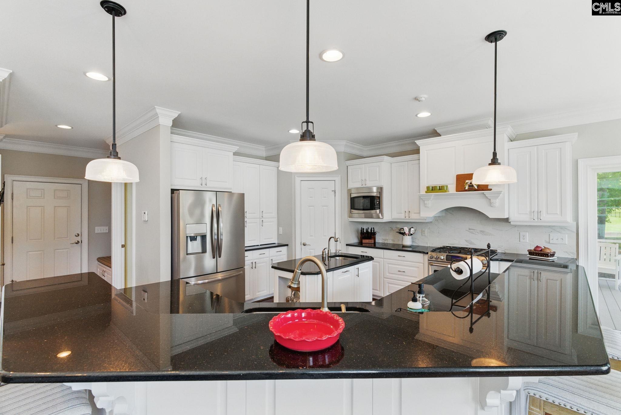 1117 Marble Arch Court, Chapin, South Carolina image 21