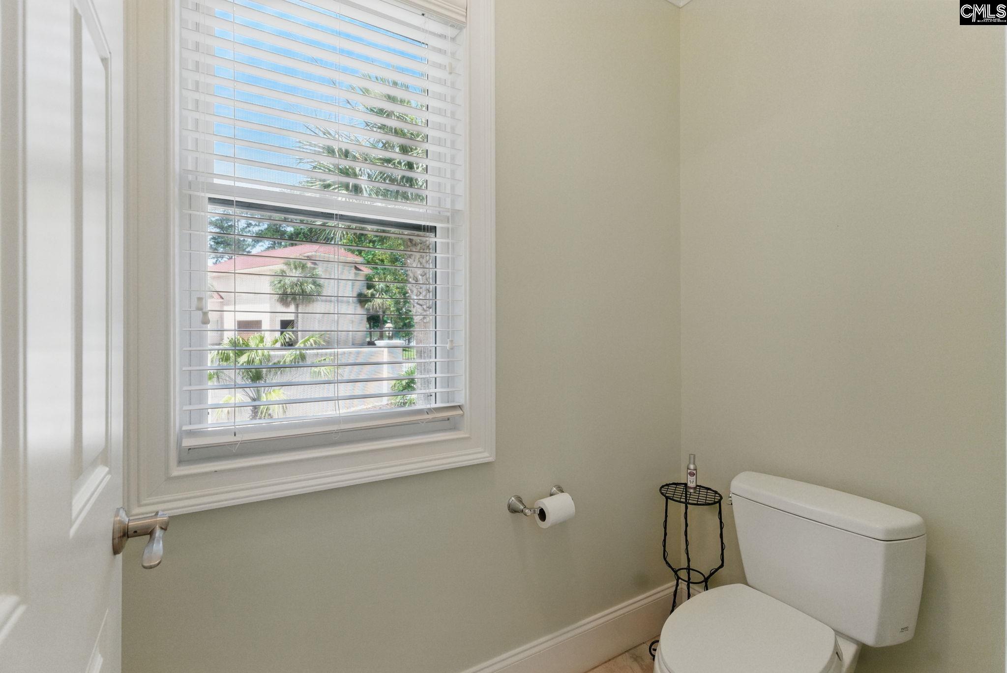 1117 Marble Arch Court, Chapin, South Carolina image 39