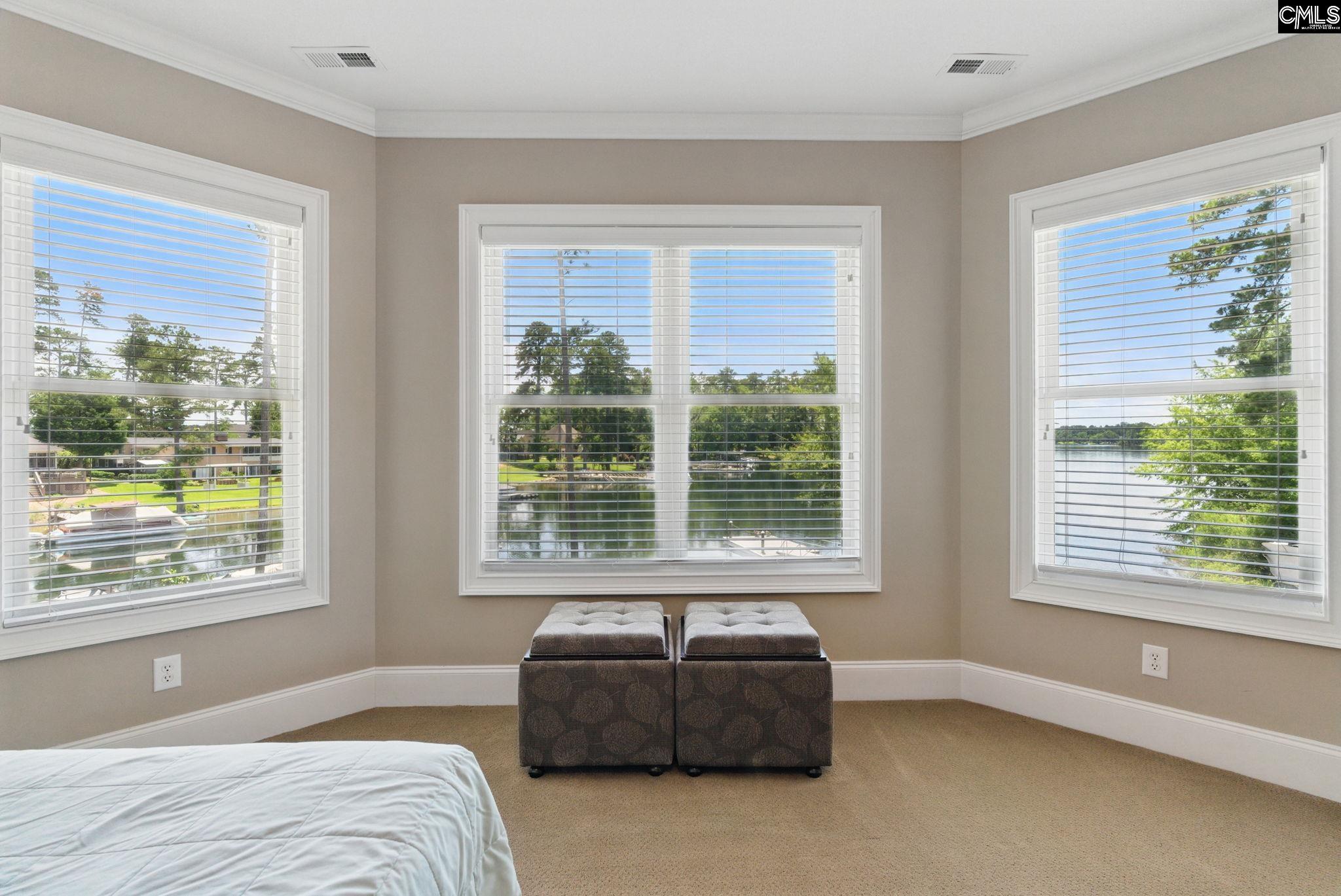 1117 Marble Arch Court, Chapin, South Carolina image 45