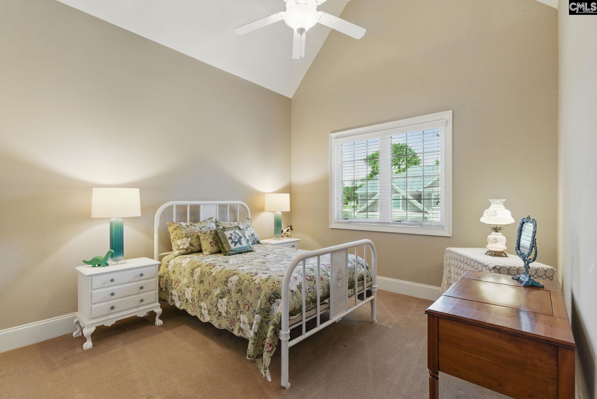 1117 Marble Arch Court, Chapin, South Carolina image 47