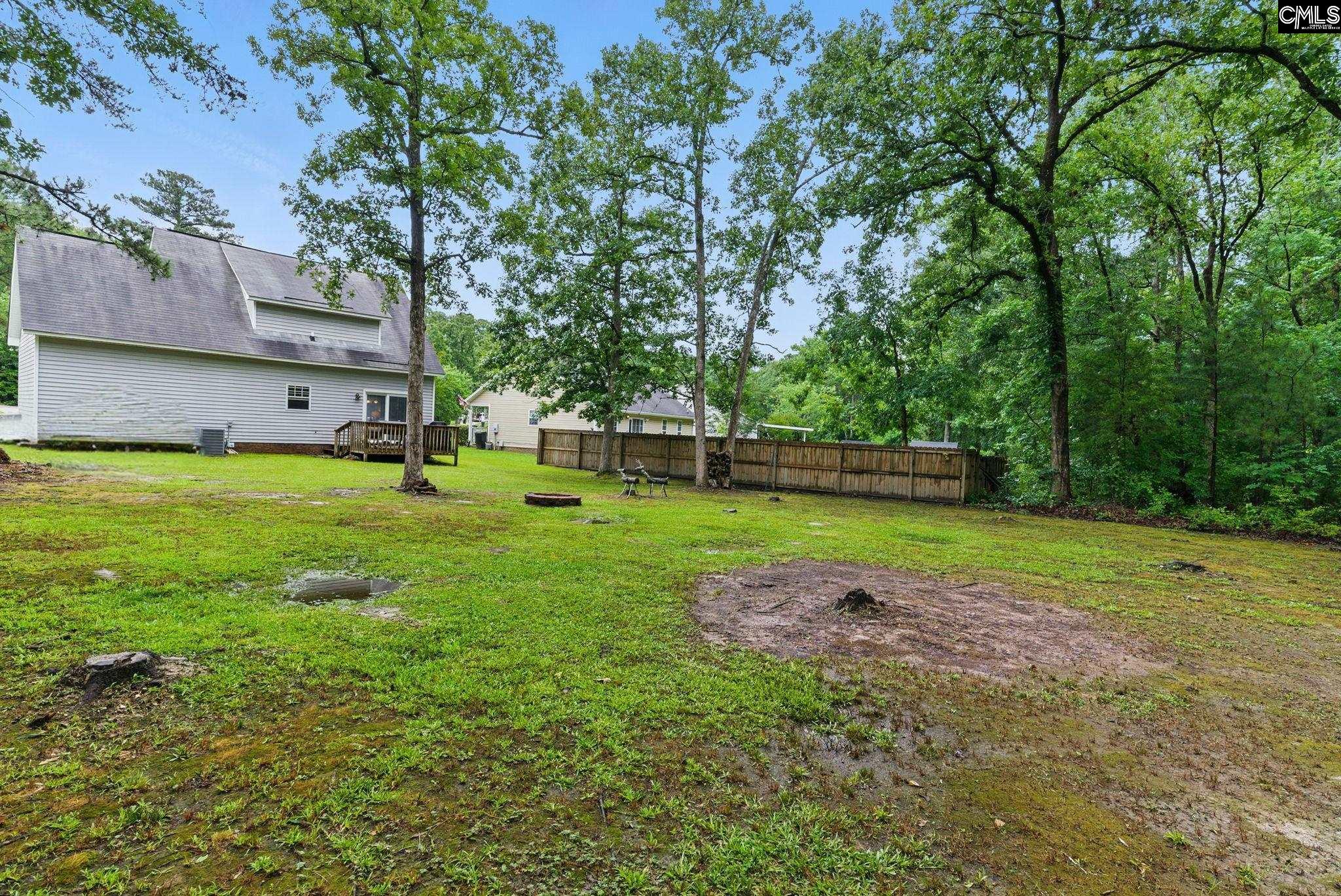 417 Northshore Court, Chapin, South Carolina image 13