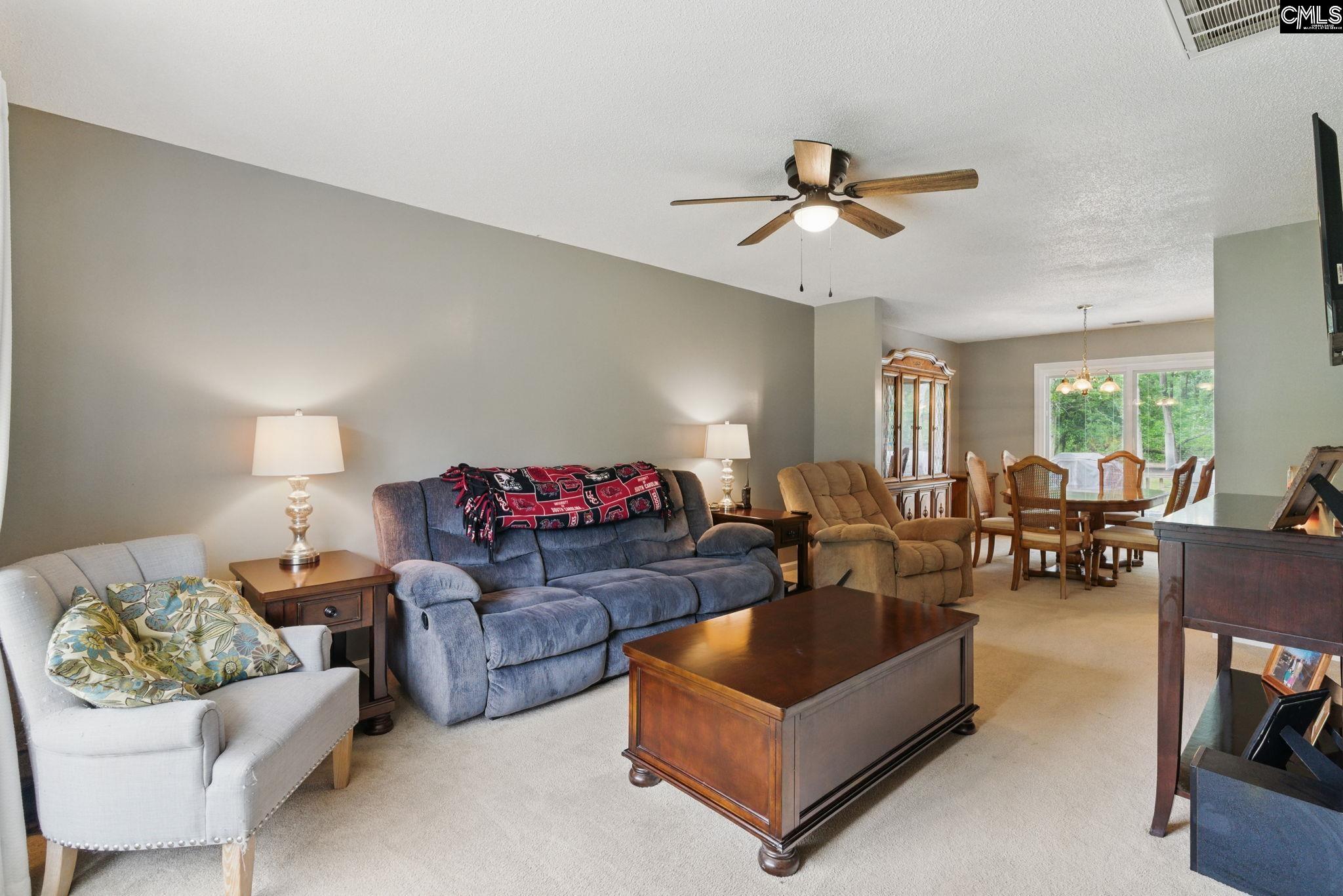 417 Northshore Court, Chapin, South Carolina image 17