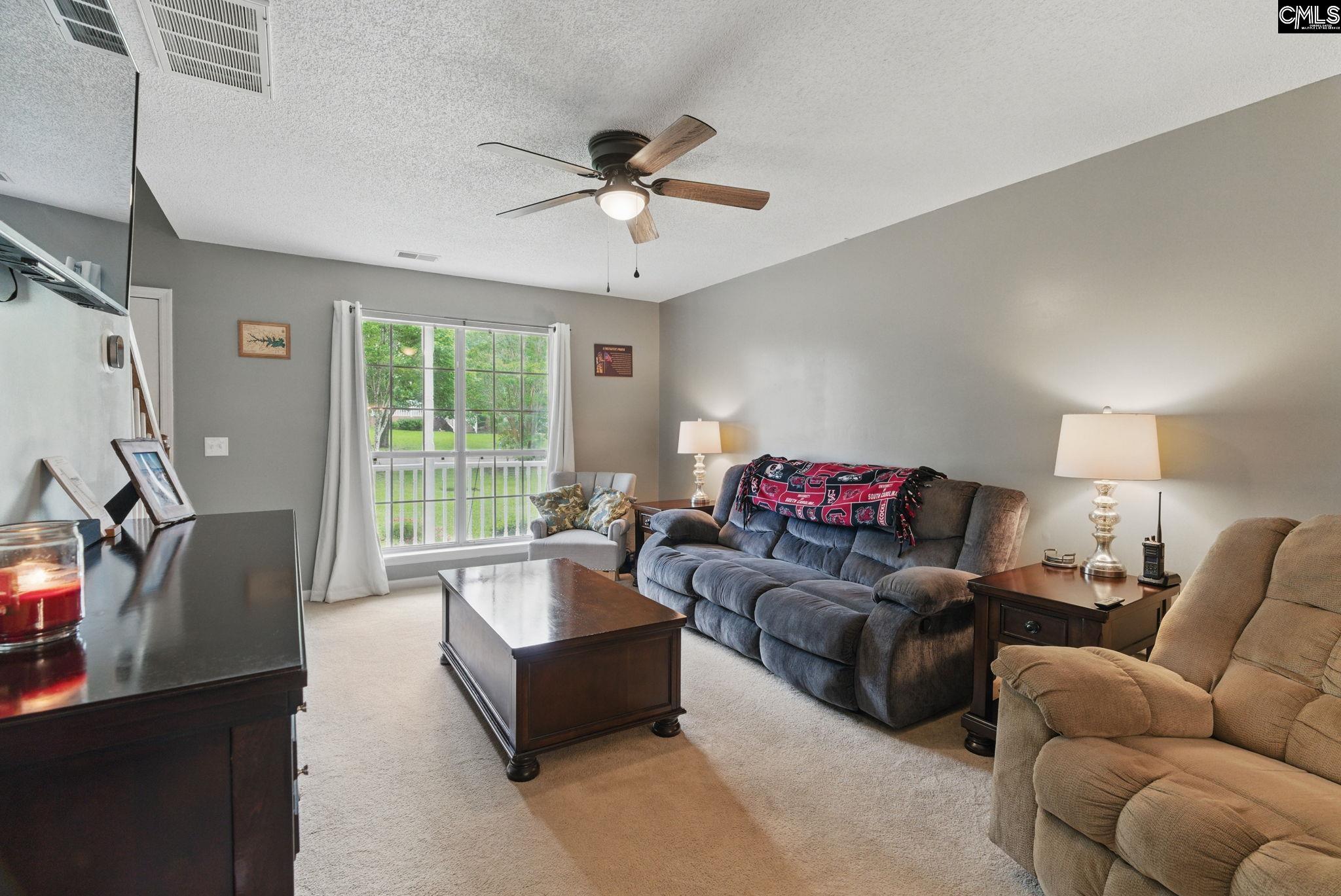 417 Northshore Court, Chapin, South Carolina image 18