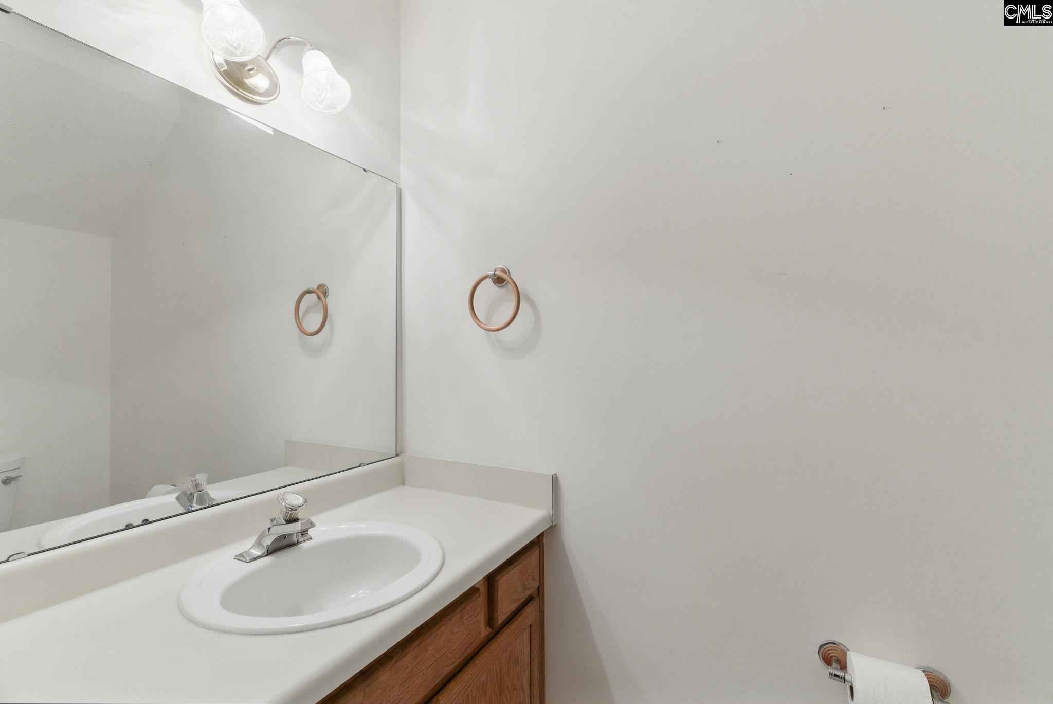 417 Northshore Court, Chapin, South Carolina image 20