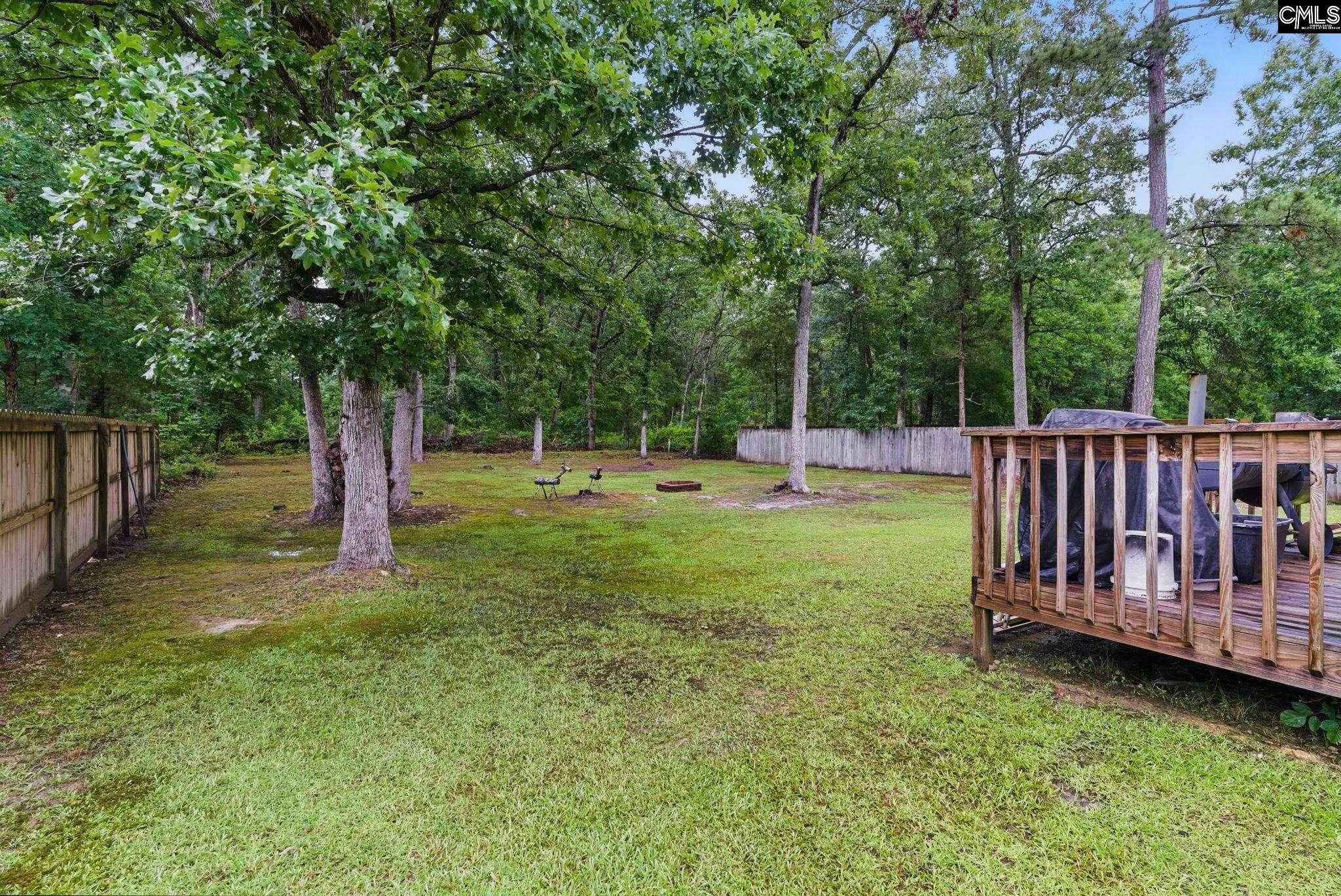 417 Northshore Court, Chapin, South Carolina image 7