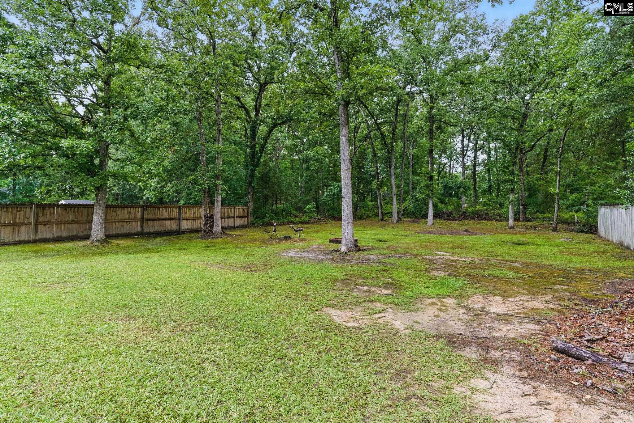 417 Northshore Court, Chapin, South Carolina image 9