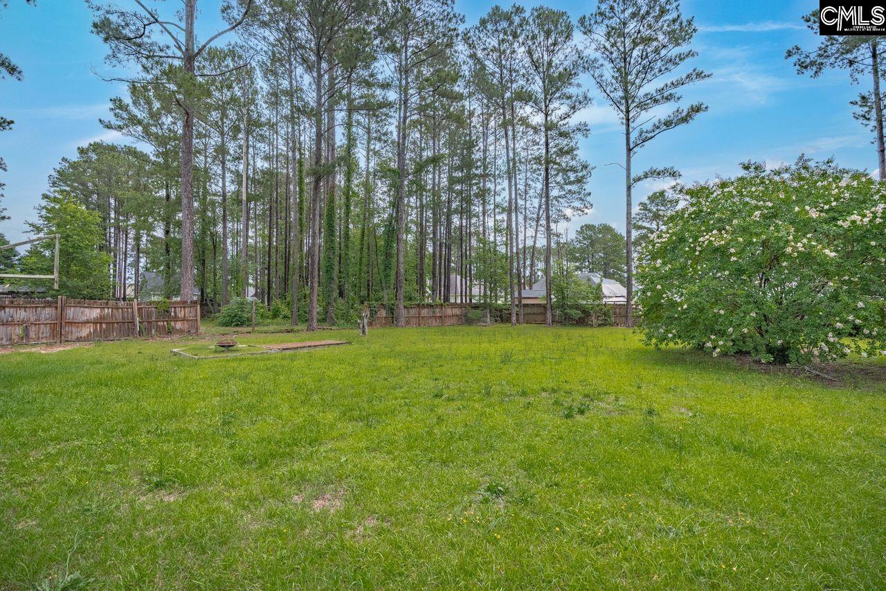 13 Dewberry Lane, Elgin, South Carolina image 15