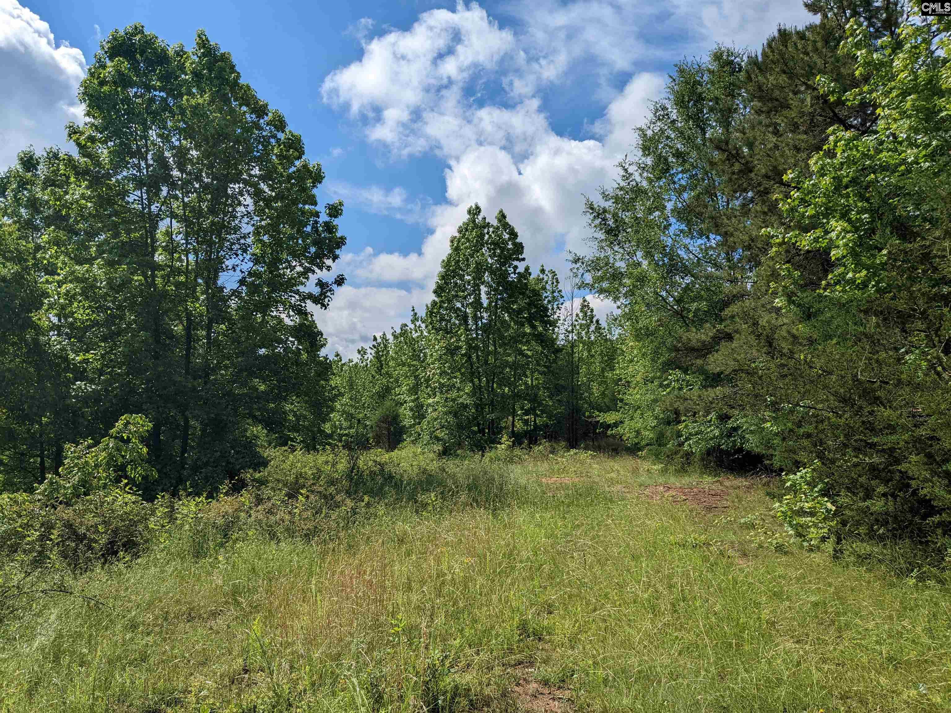 Lockhart Highway, Union, South Carolina image 12