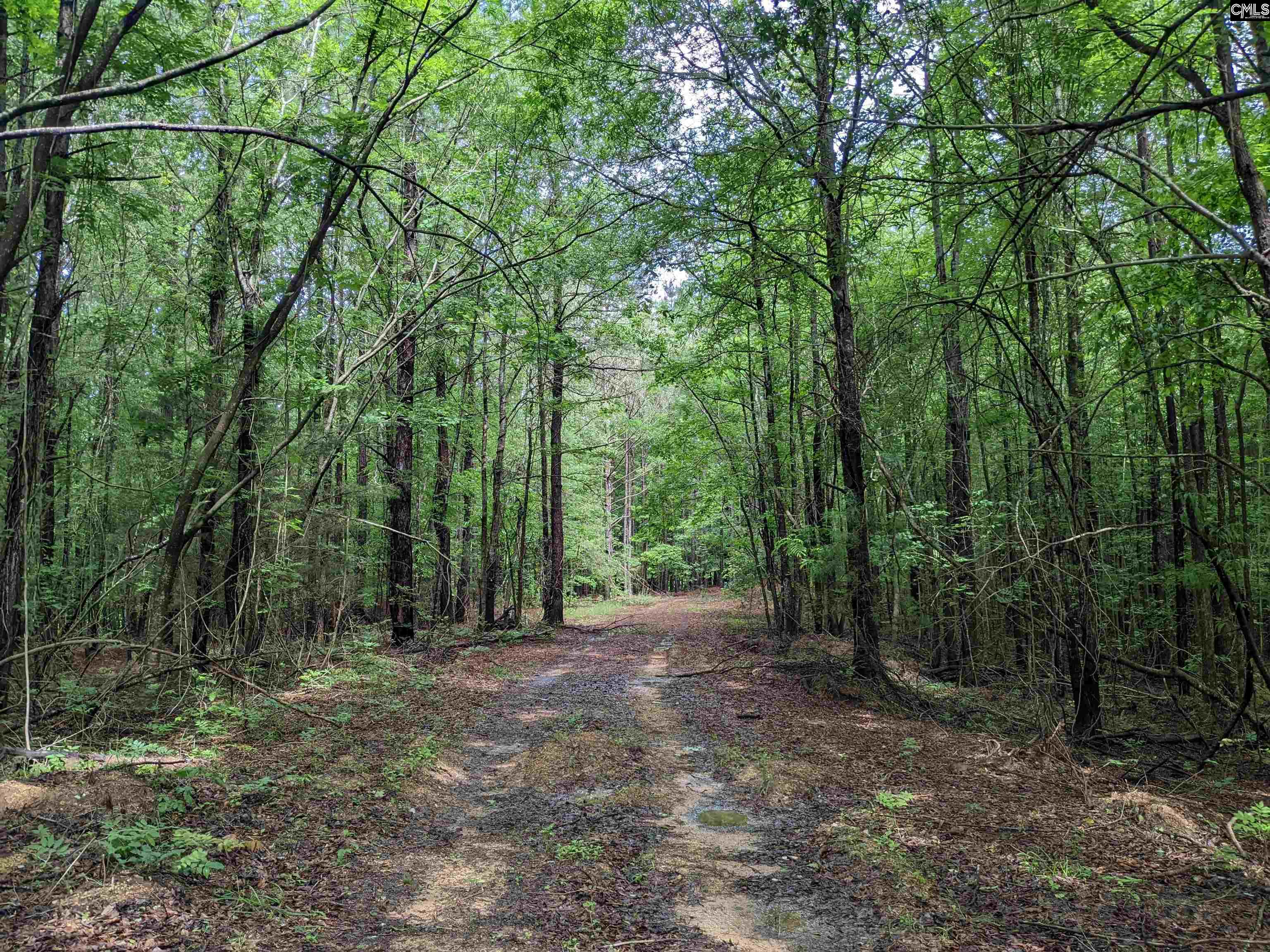 Lockhart Highway, Union, South Carolina image 25
