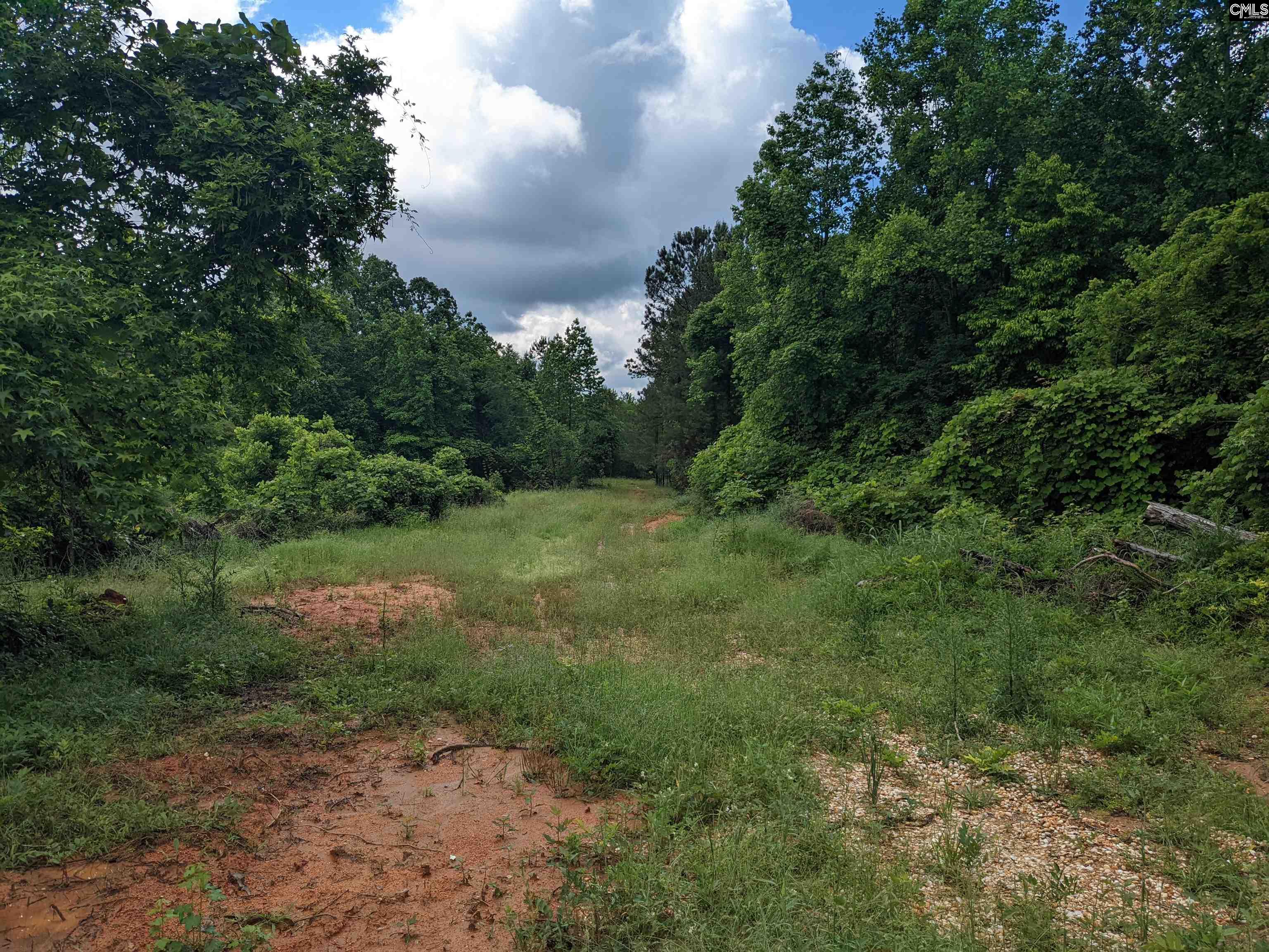 Lockhart Highway, Union, South Carolina image 7