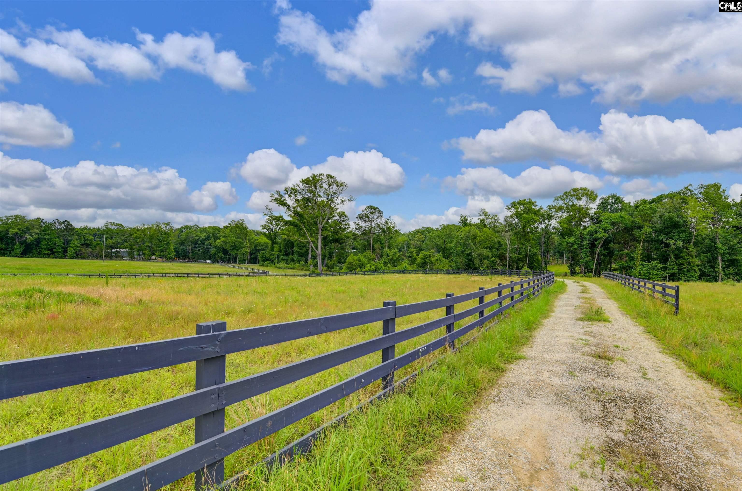 2544 Wessinger Road, Chapin, South Carolina image 2