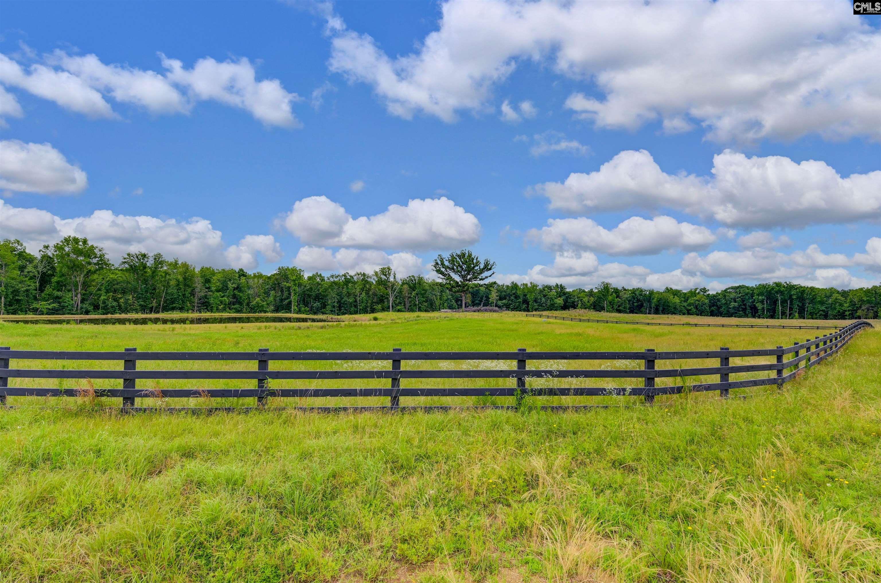 2544 Wessinger Road, Chapin, South Carolina image 4