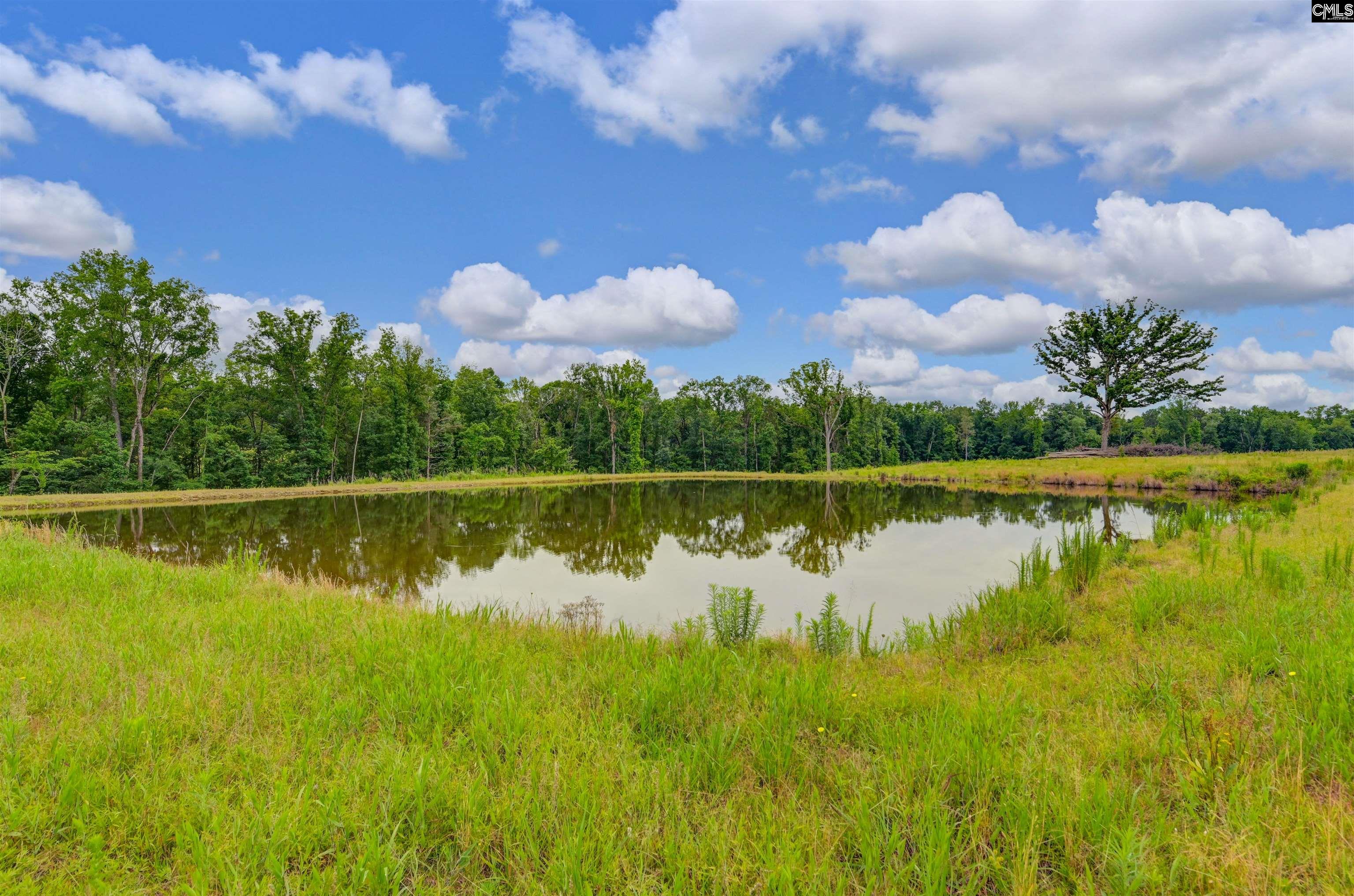 2544 Wessinger Road, Chapin, South Carolina image 6