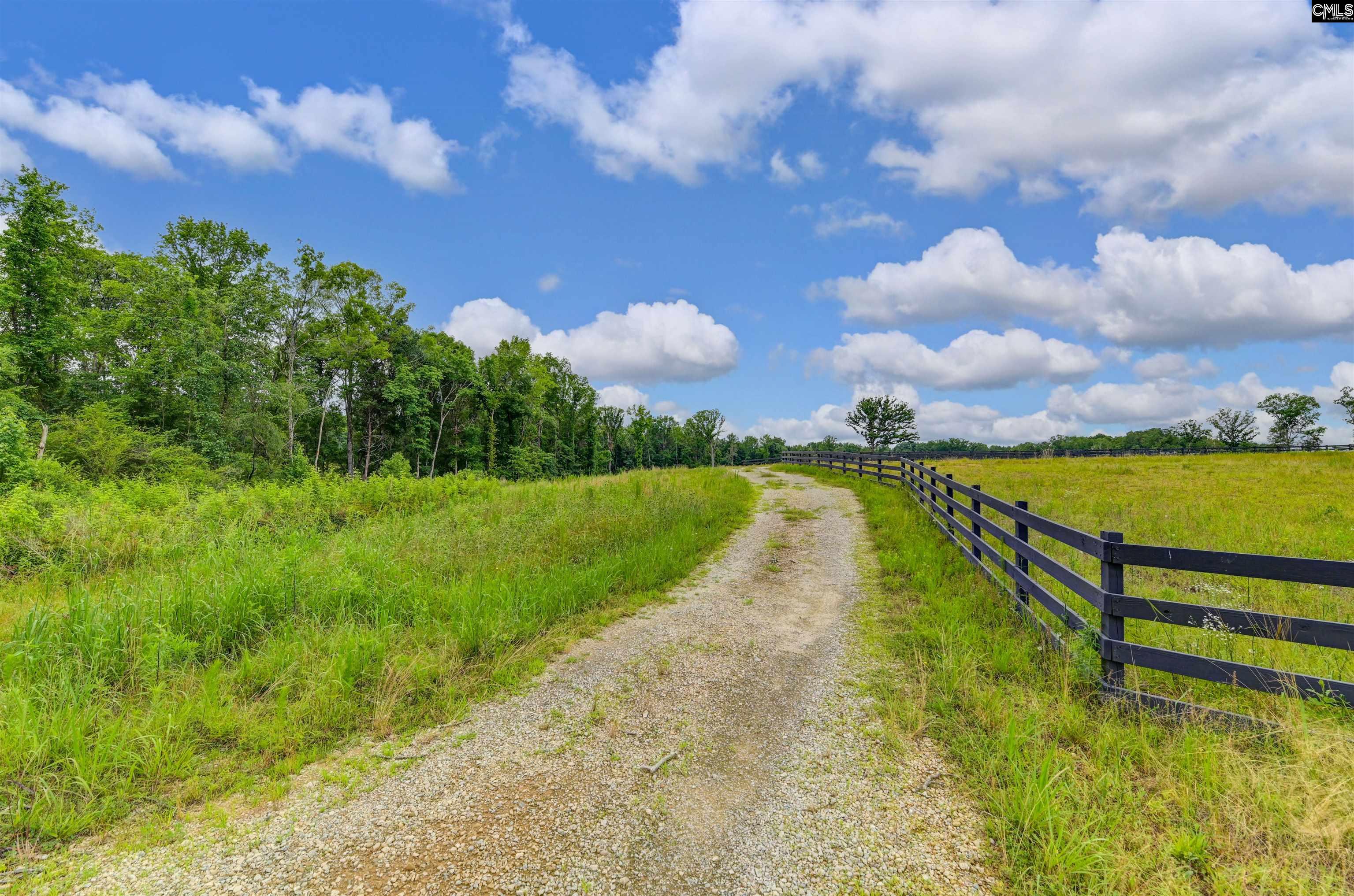 2544 Wessinger Road, Chapin, South Carolina image 7