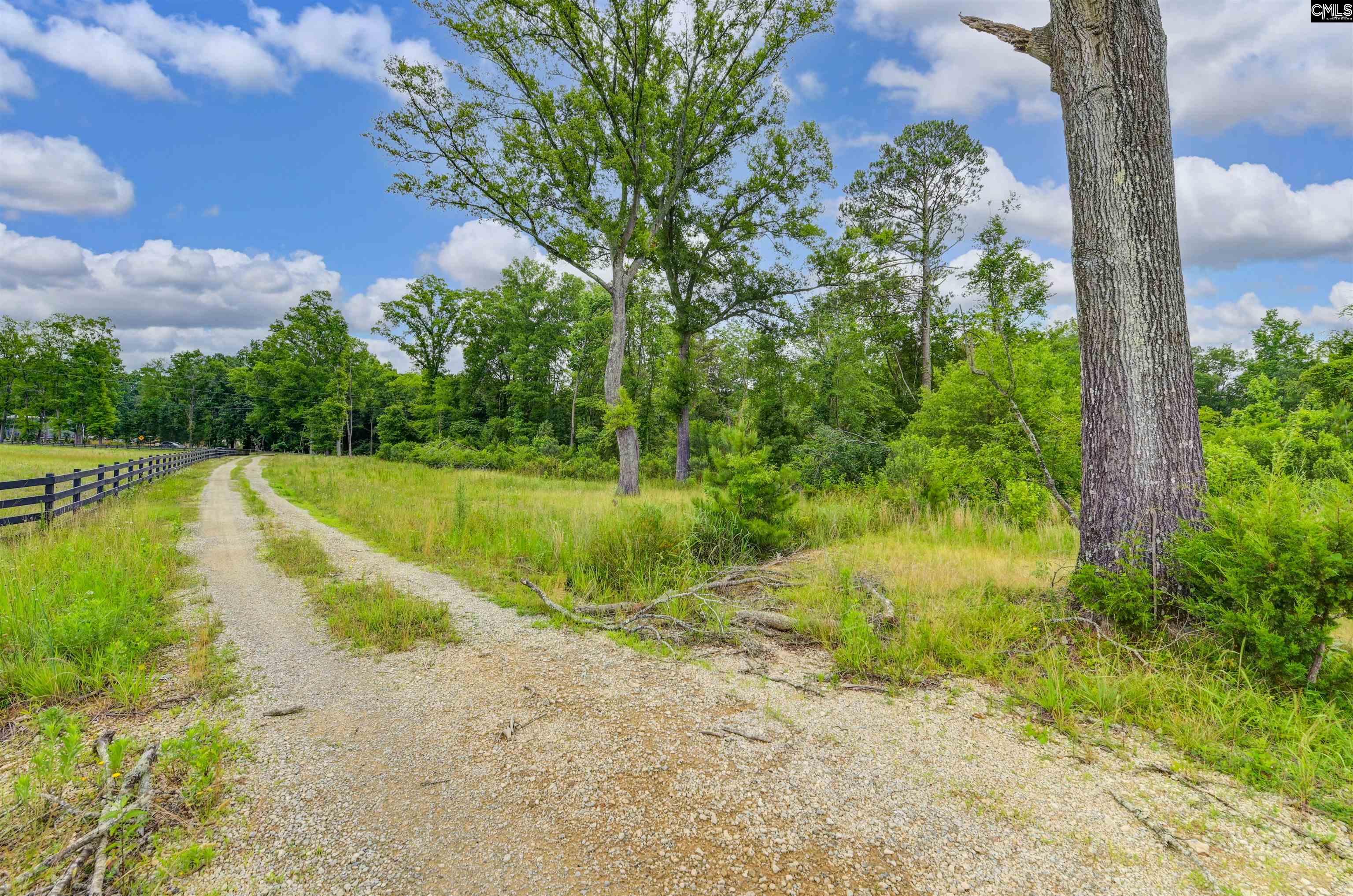 2544 Wessinger Road, Chapin, South Carolina image 8