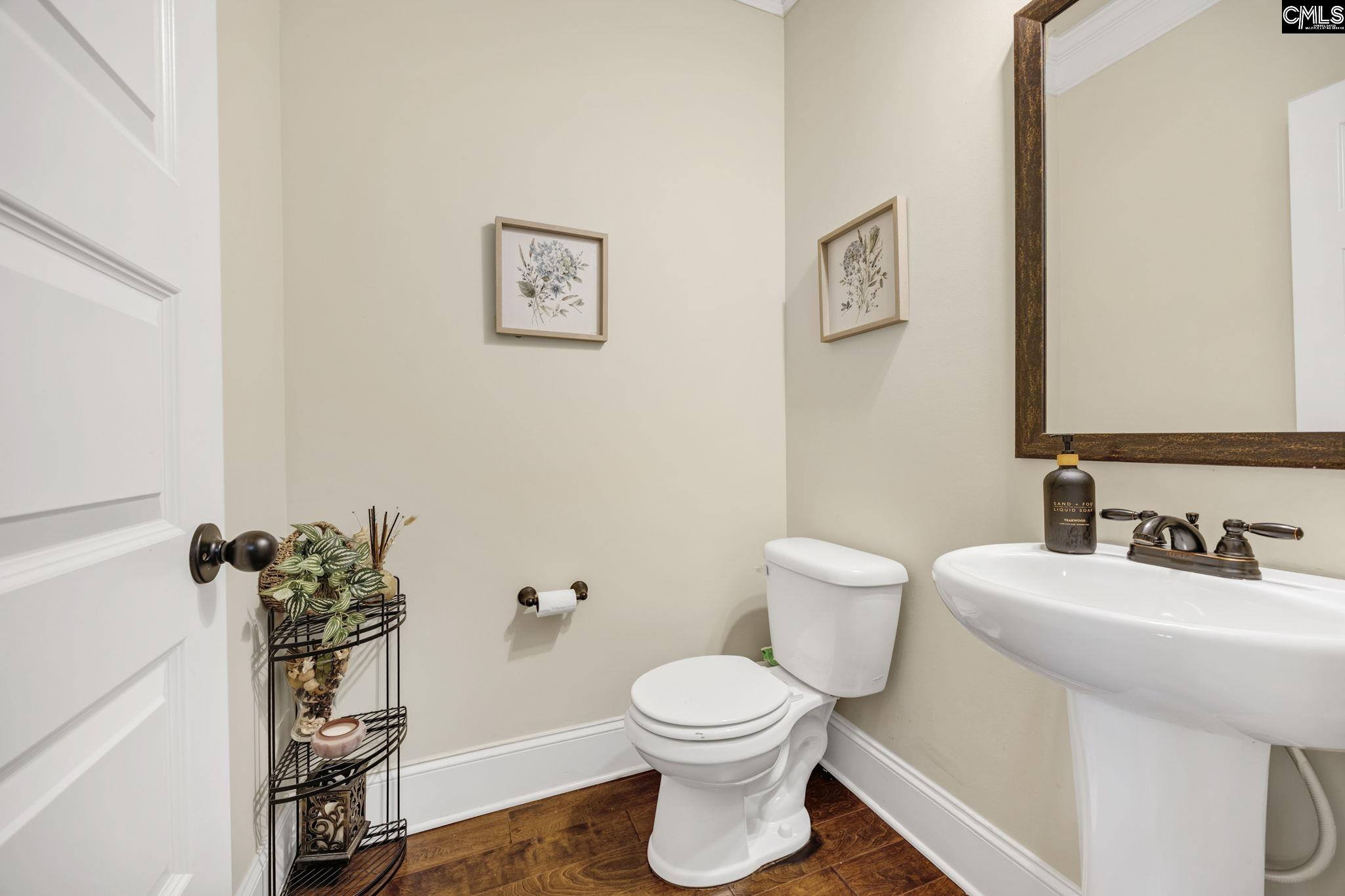 203 Rising Star Court, Lexington, South Carolina image 17
