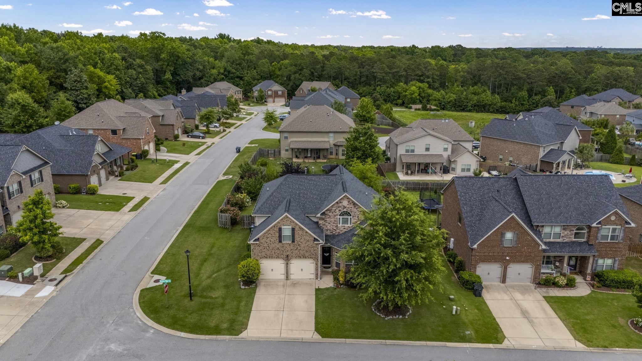 203 Rising Star Court, Lexington, South Carolina image 3