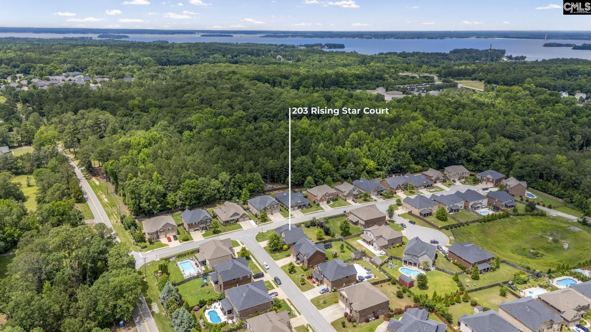 203 Rising Star Court, Lexington, South Carolina image 46