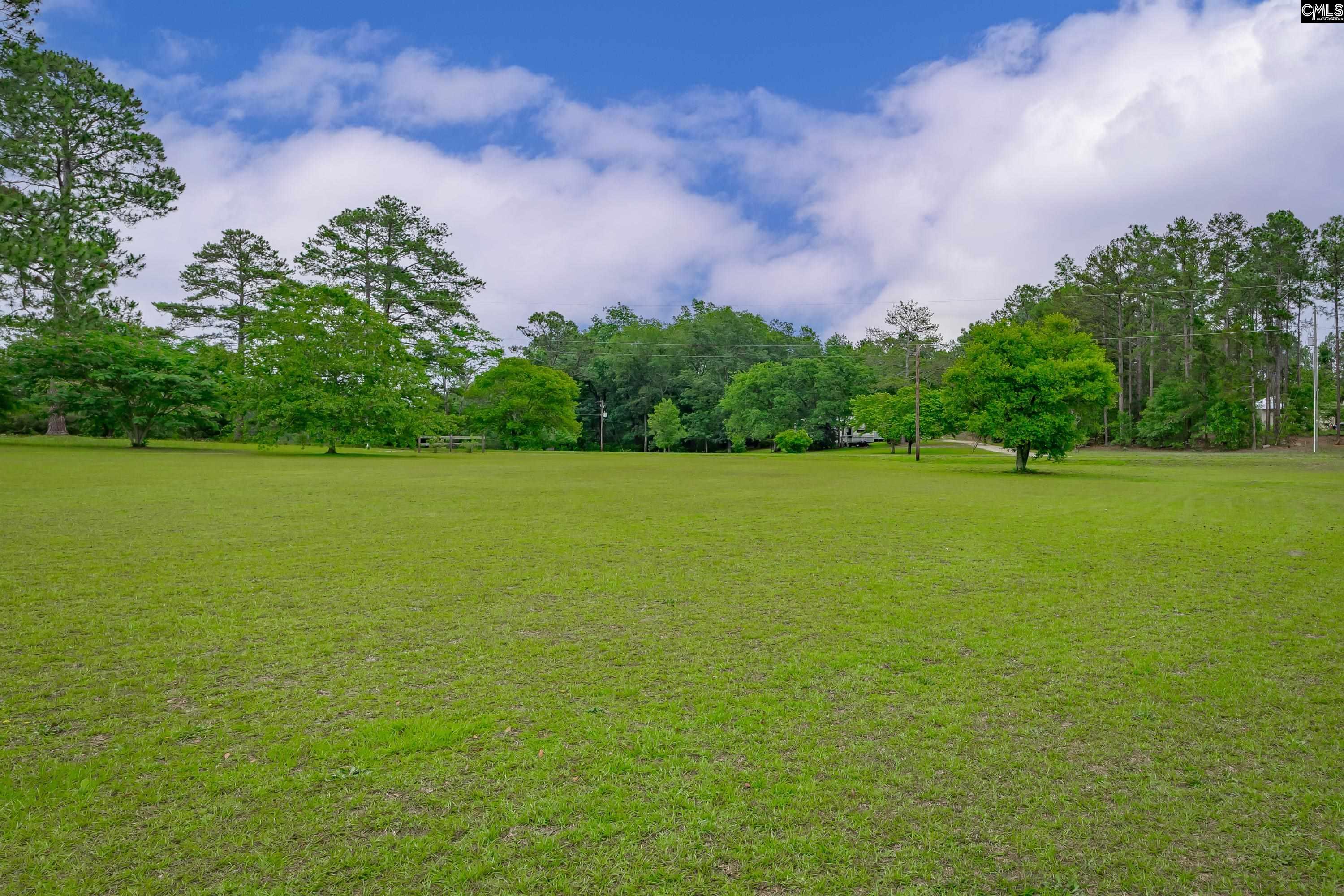 147 Sunhaven Street, Gilbert, South Carolina image 21