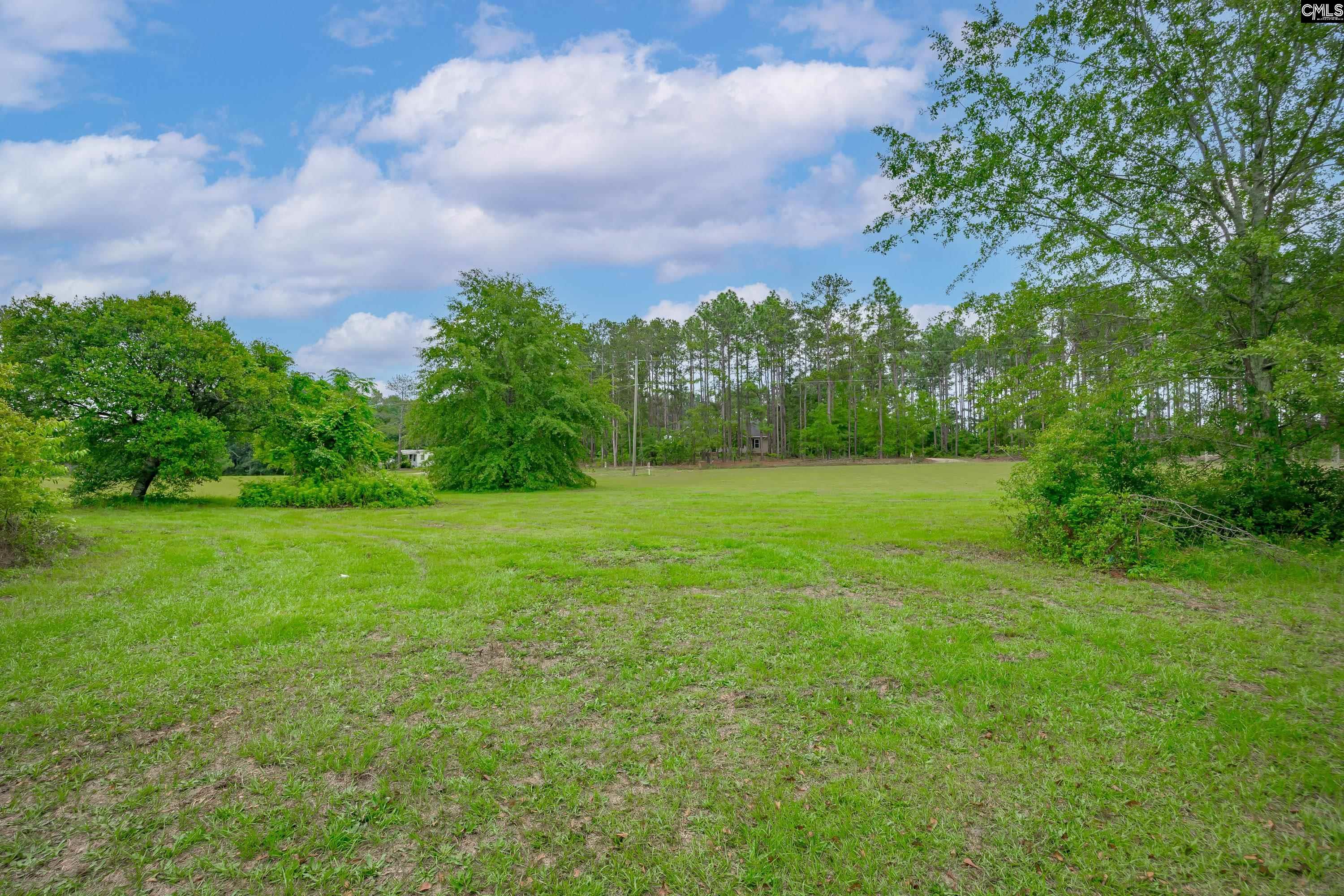 147 Sunhaven Street, Gilbert, South Carolina image 22