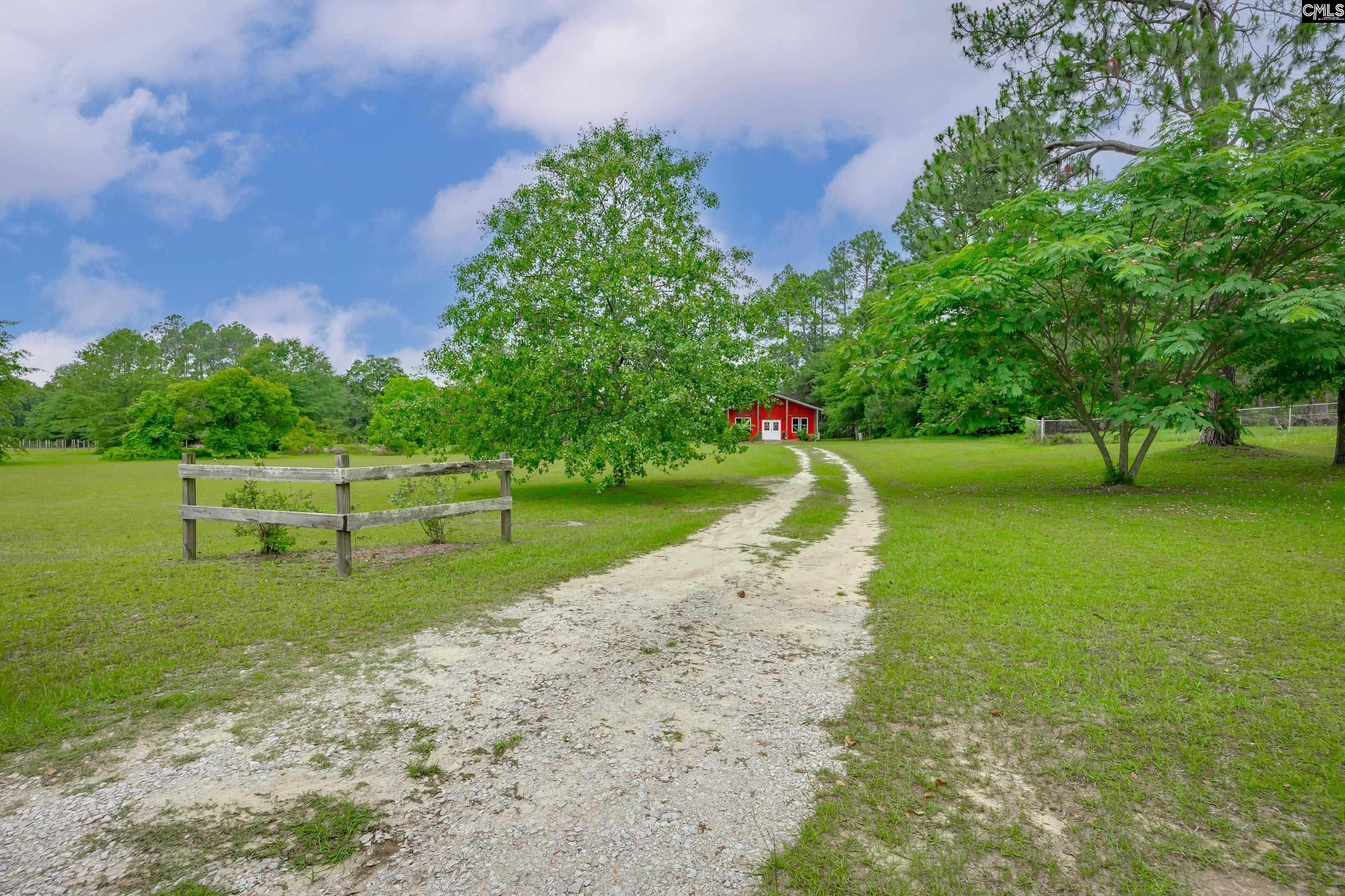 147 Sunhaven Street, Gilbert, South Carolina image 23