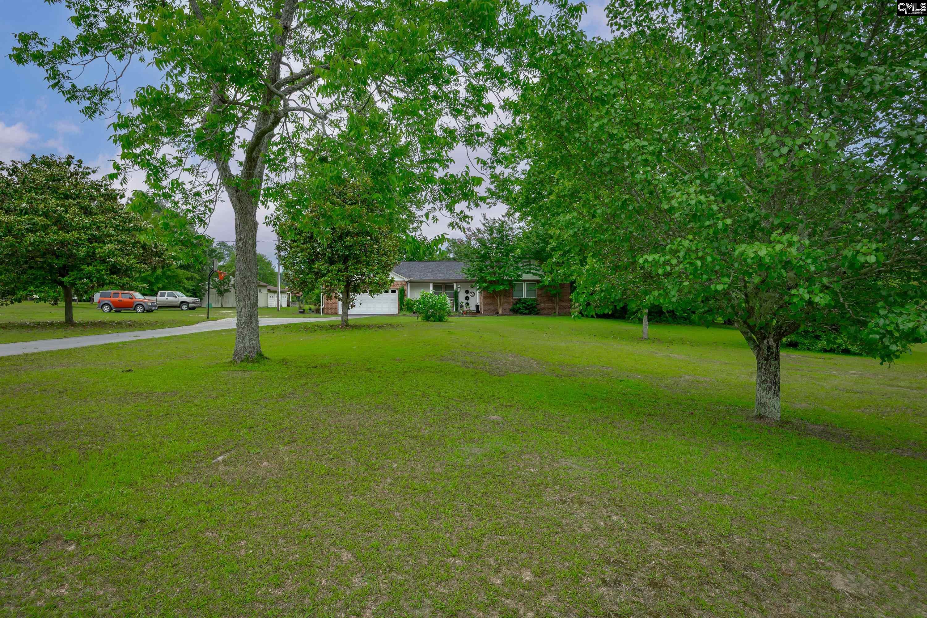2412 Lewie Road, Gilbert, South Carolina image 45