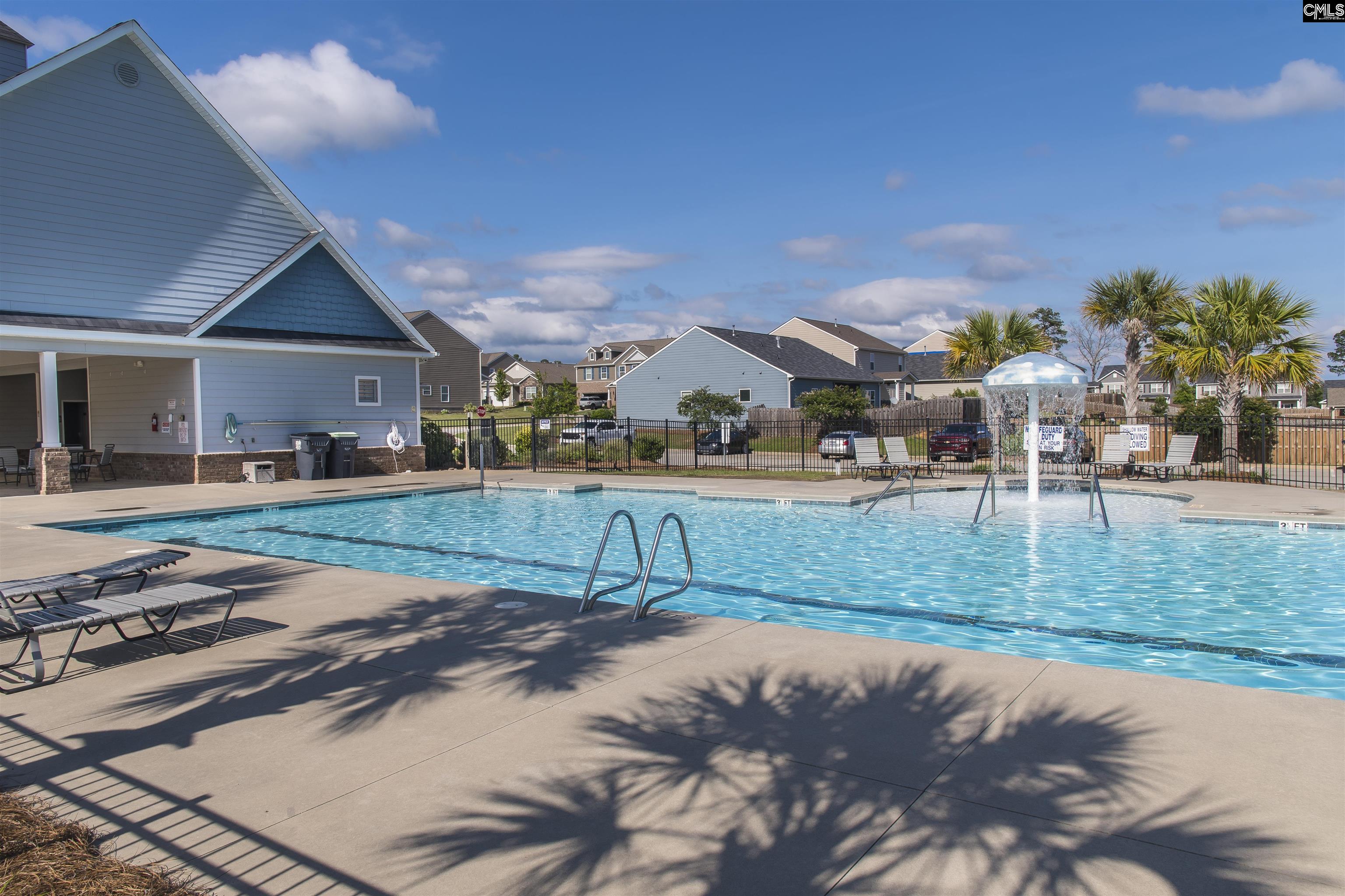 515 Pine Log Run, Chapin, South Carolina image 3
