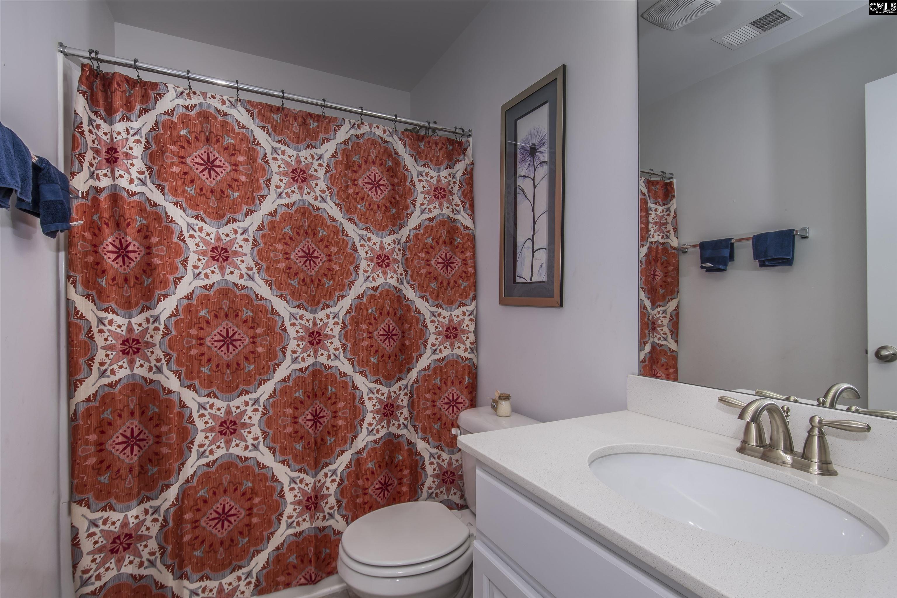 515 Pine Log Run, Chapin, South Carolina image 43