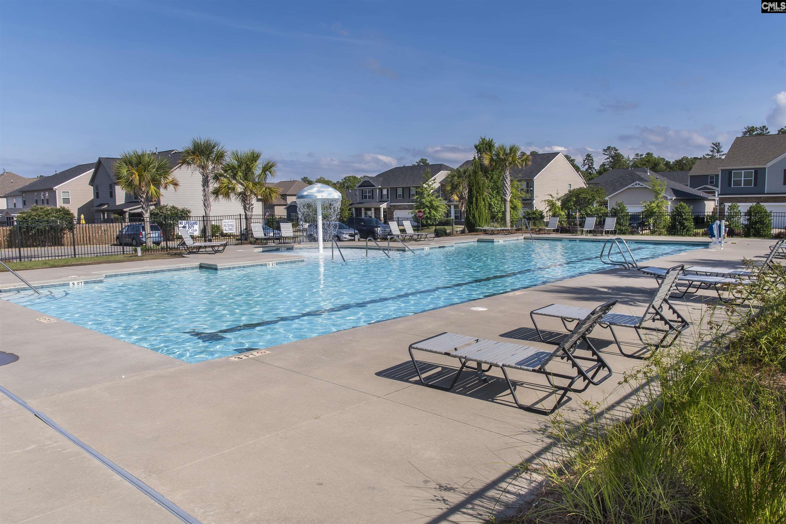 515 Pine Log Run, Chapin, South Carolina image 45