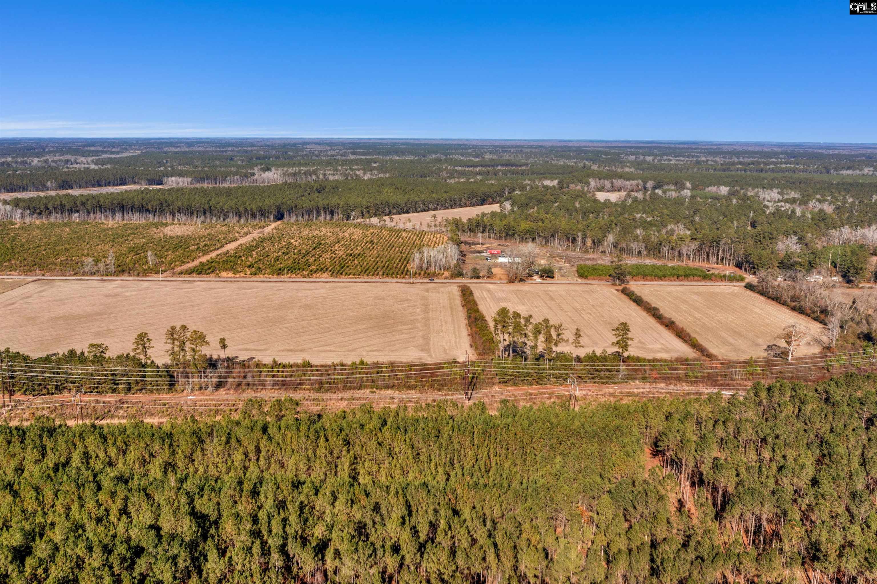 1745 Williams Hill Road #3, Hemingway, South Carolina image 2